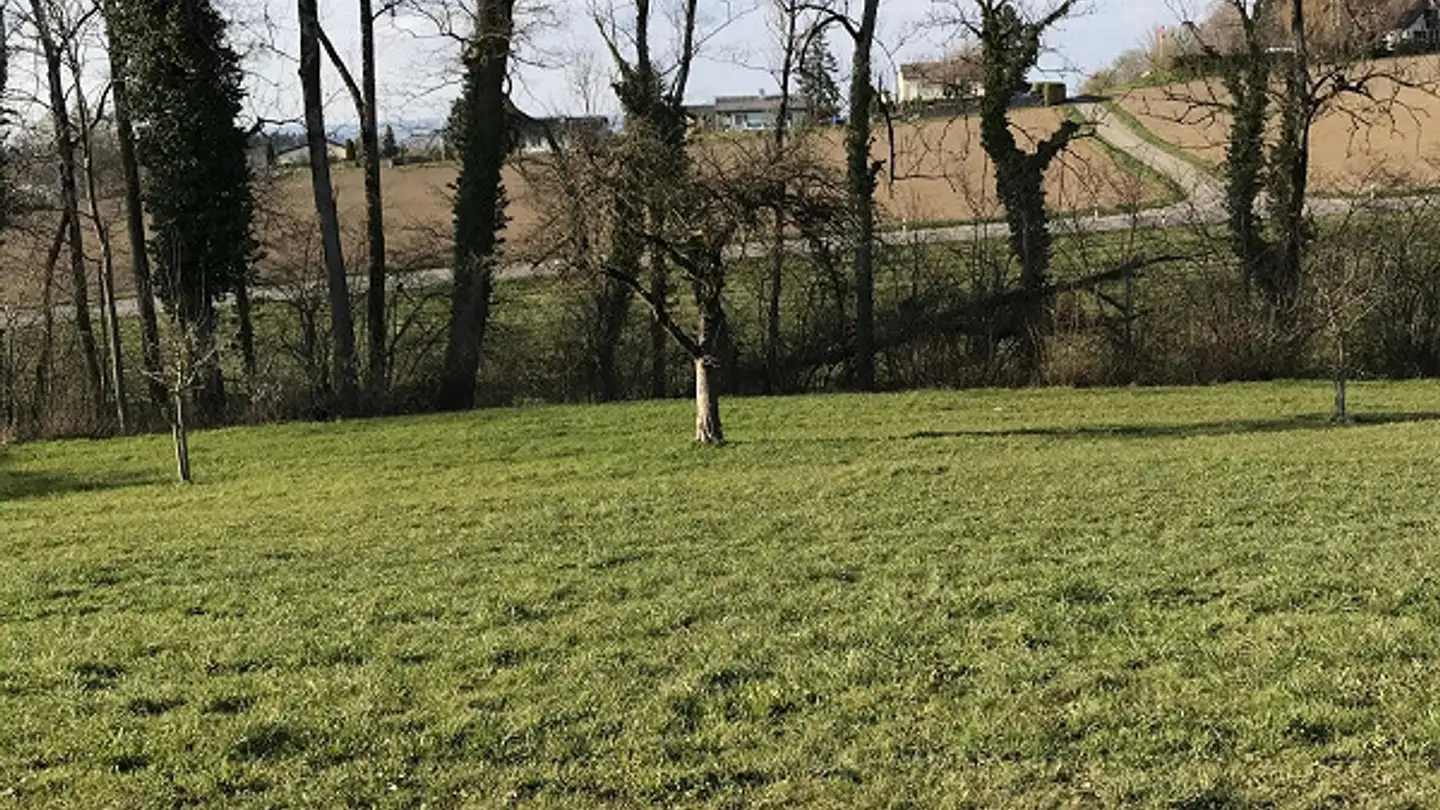 Casa bifamiliare in vendita - Sitegässli 17, 9562 Märwil - Photo 3