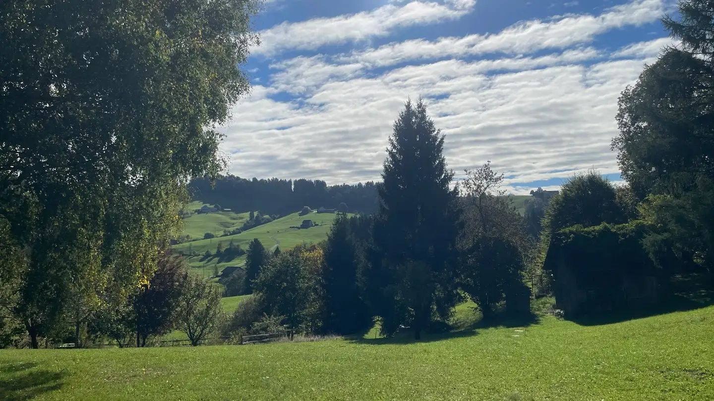 Single house for sale - Speicherstrasse 70, 9053 Teufen AR