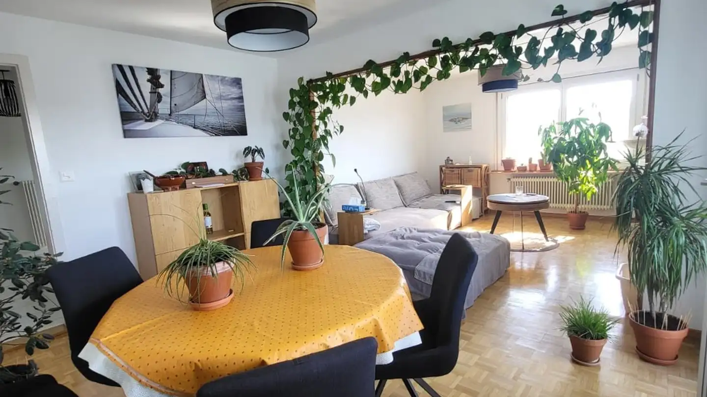 Wohnung mieten - Route D'arruffens 15, 1680 Romont FR - Foto 3