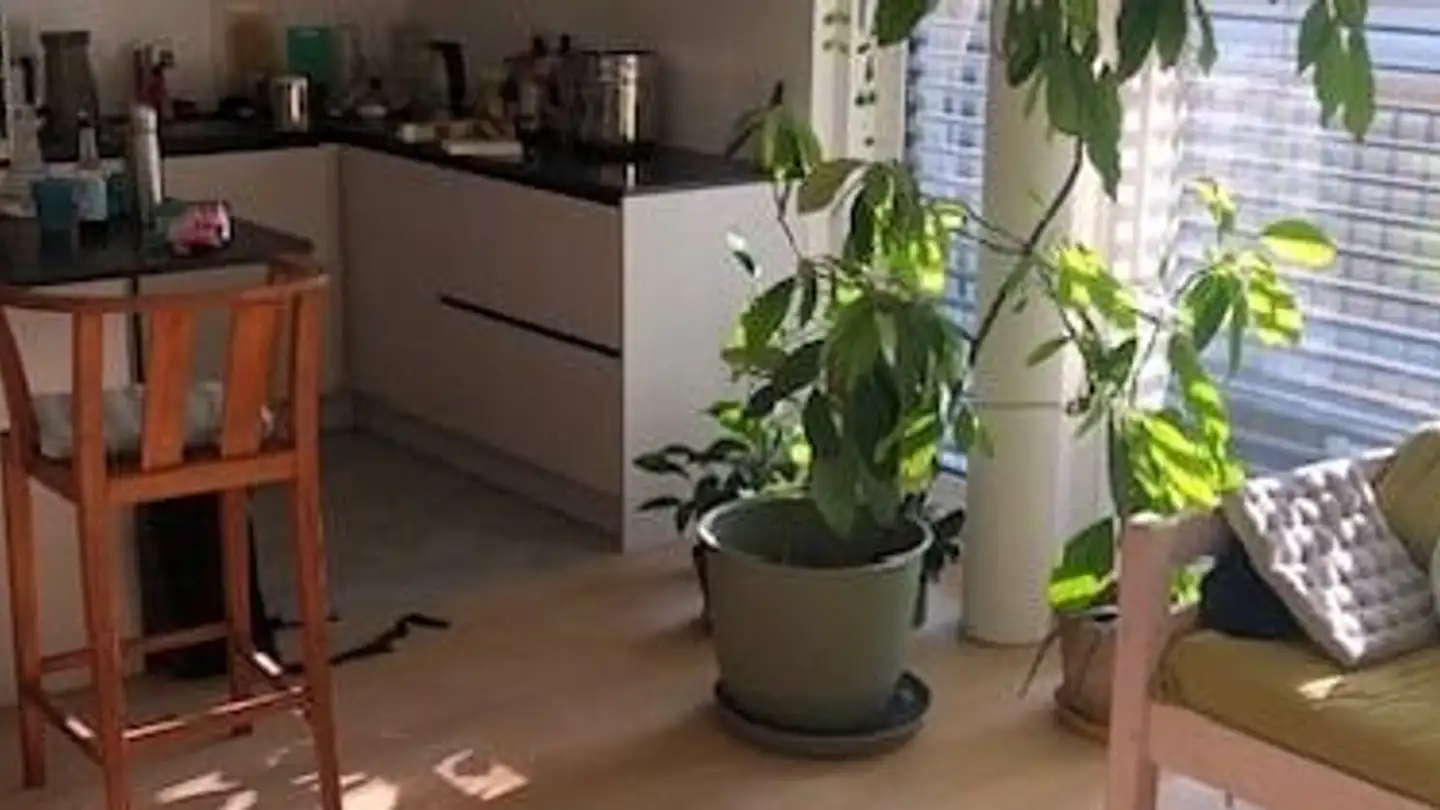 Chambre à louer - Chemin Ella-Maillart 14, 1208 Genève - Photo 4