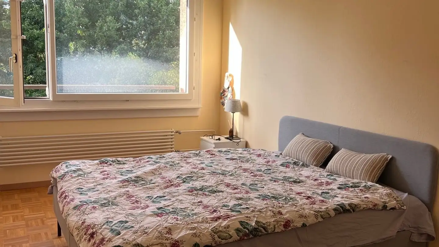 Appartement à louer - Rue Maurice- Braillard 38, 1202 Genève - Photo 2