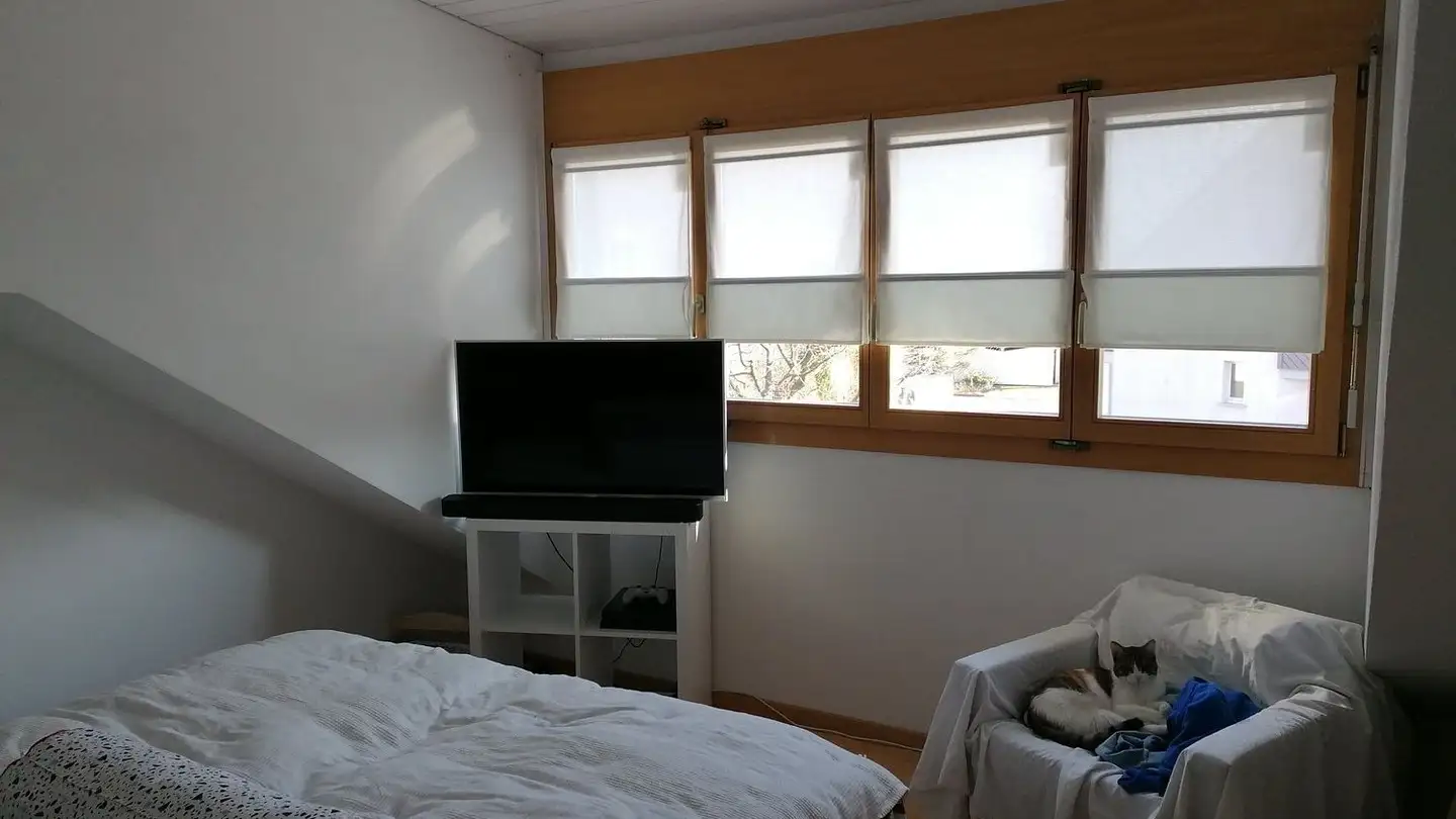 Dachgeschosswohnung mieten - Quellenweg 8, 9470 Buchs SG - Foto 4