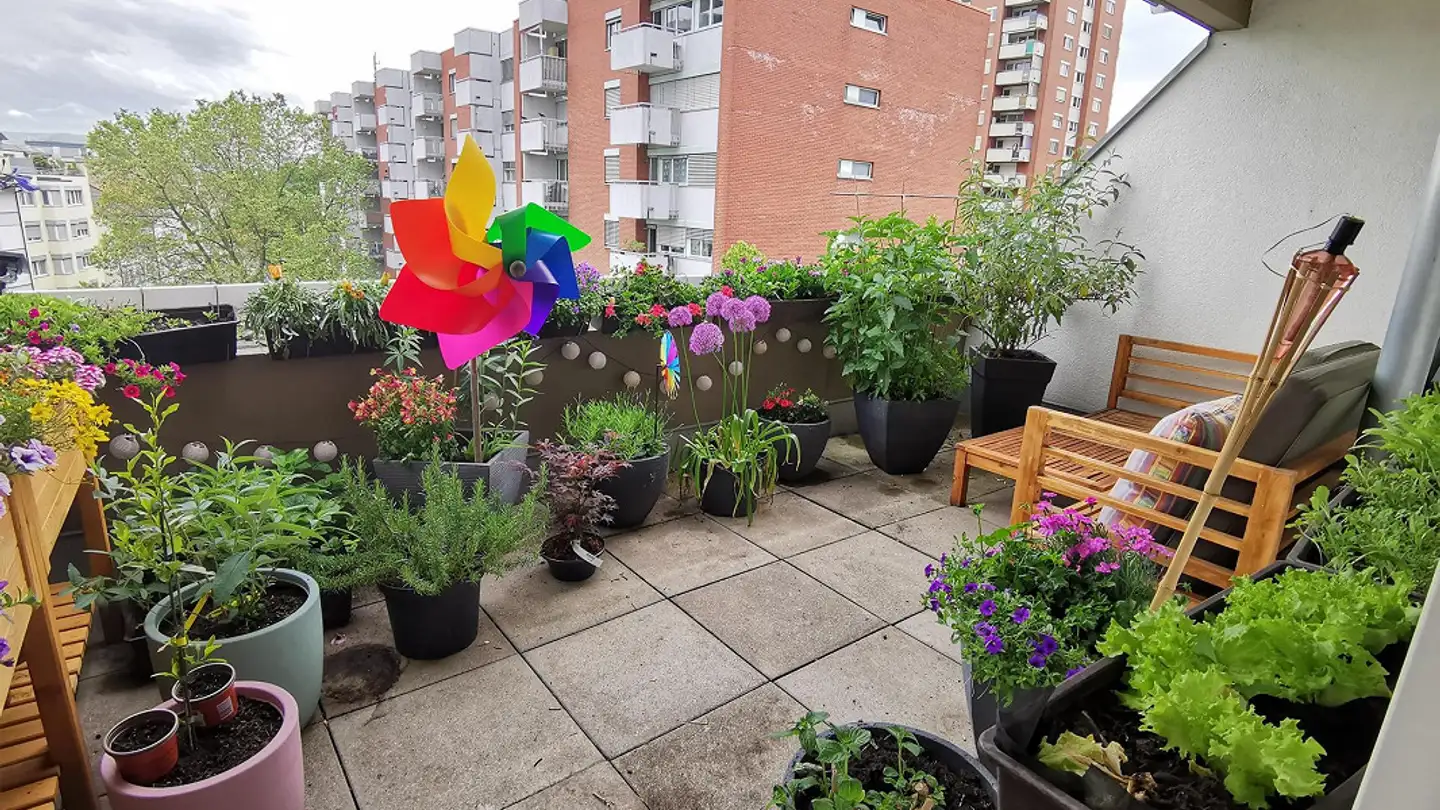 Apartment for rent - Sperrstrasse 69, 4057 Basel