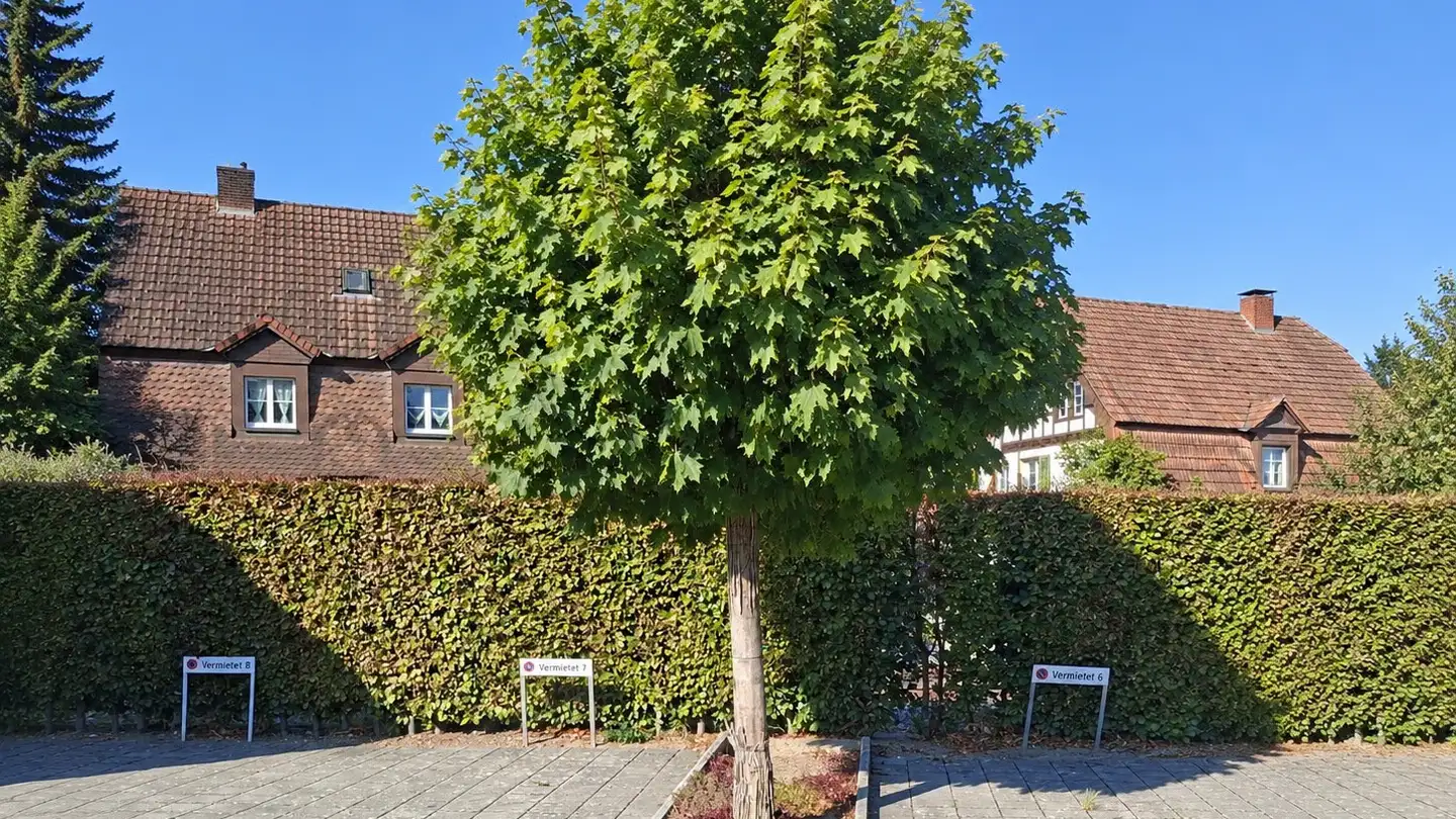 Outdoor parking space for rent - Aarburgerstrasse 21, 4800 Zofingen