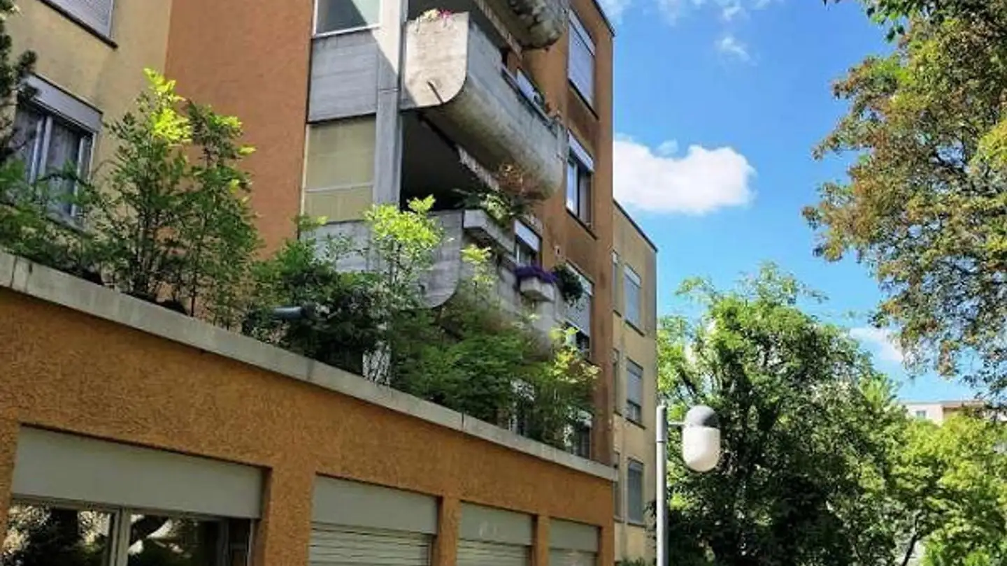 Appartement à louer - Bachwiesenstrasse 119, 8047 Zürich