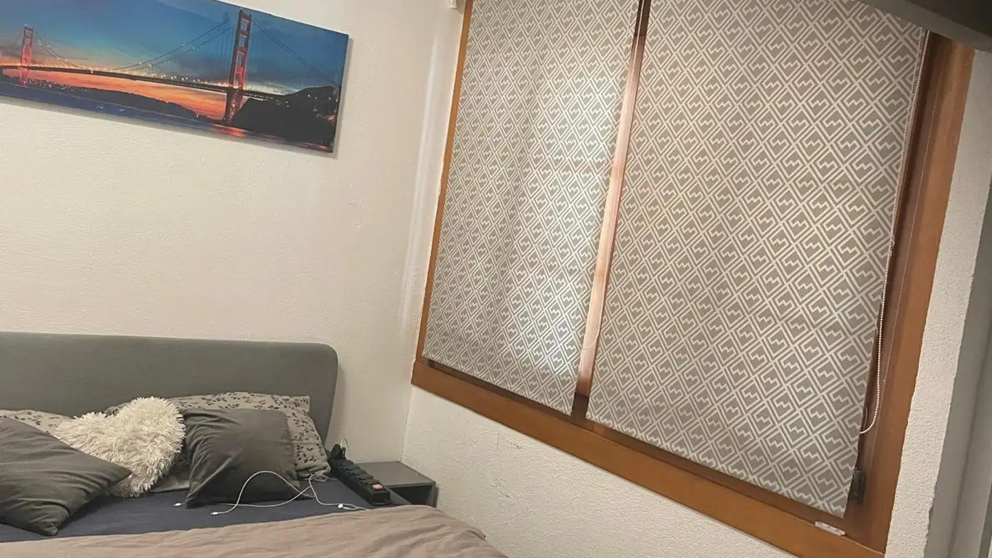 Single room for rent - 8001 Zürich