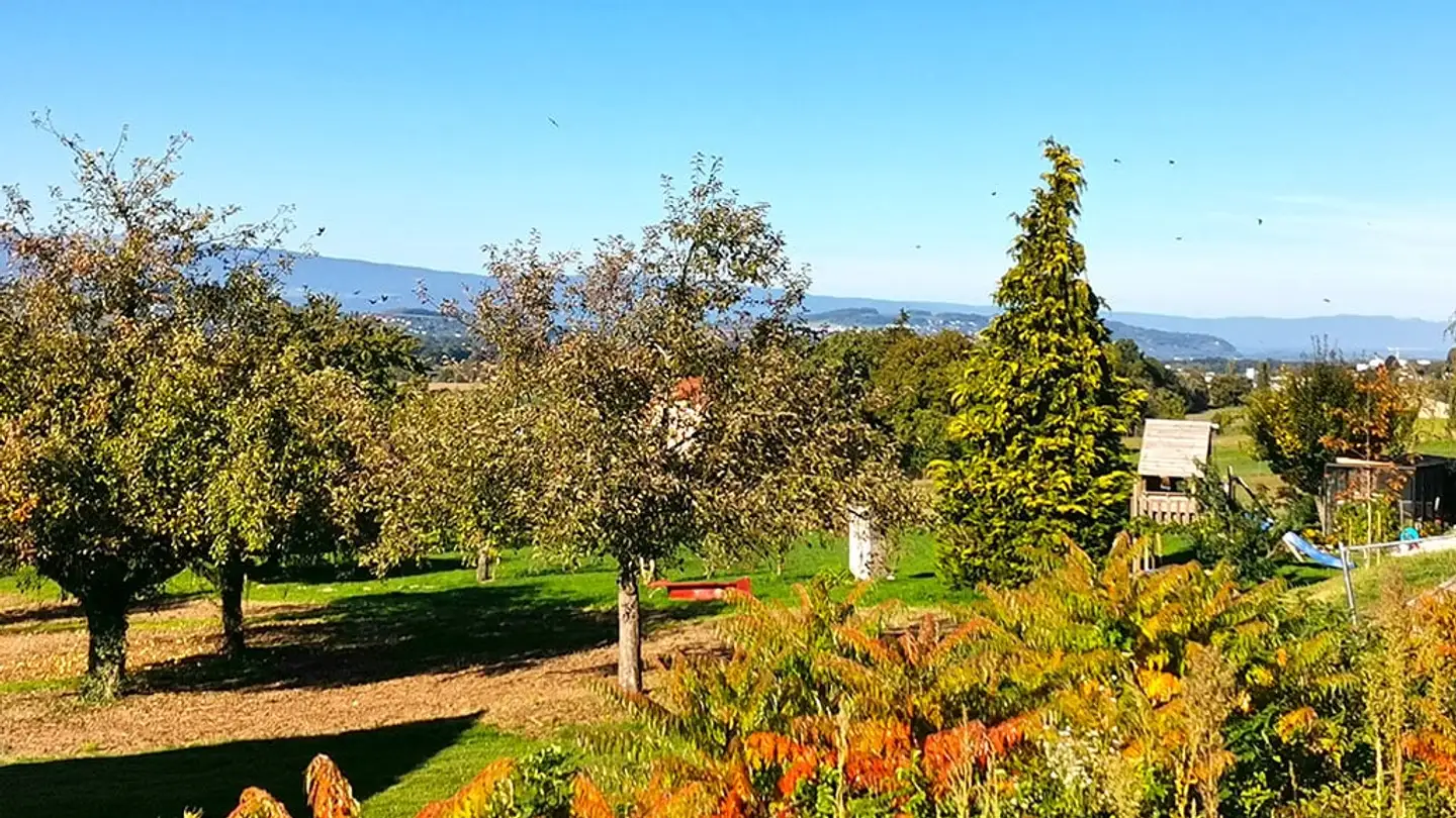 Single house for sale - 1563 Dompierre FR - Photo 2