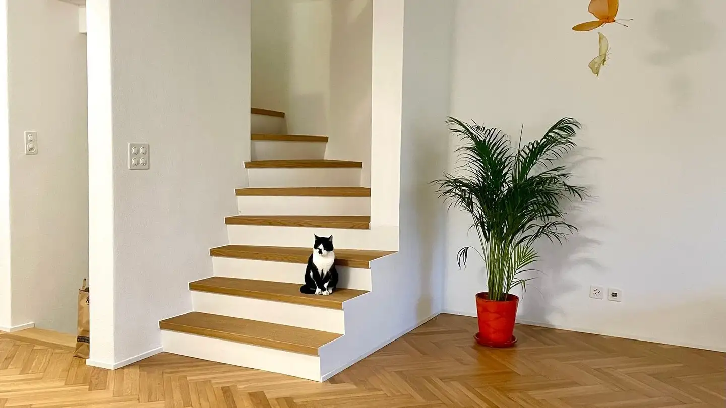 Einfamilienhaus mieten - Dachseggstrasse 23b, 8630 Rüti ZH - Foto 4