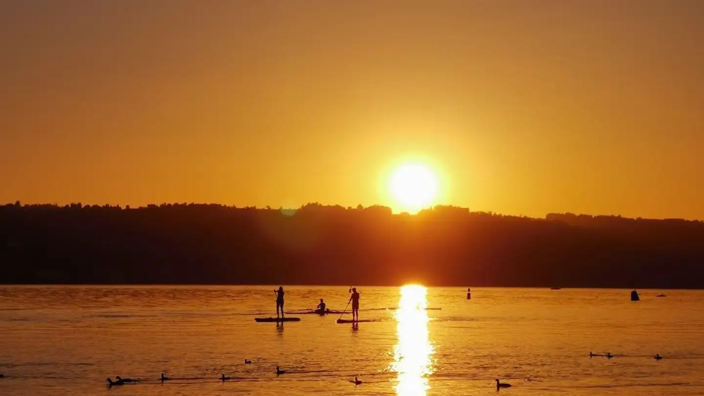 Single room for rent - 8712 Stäfa - Photo 4