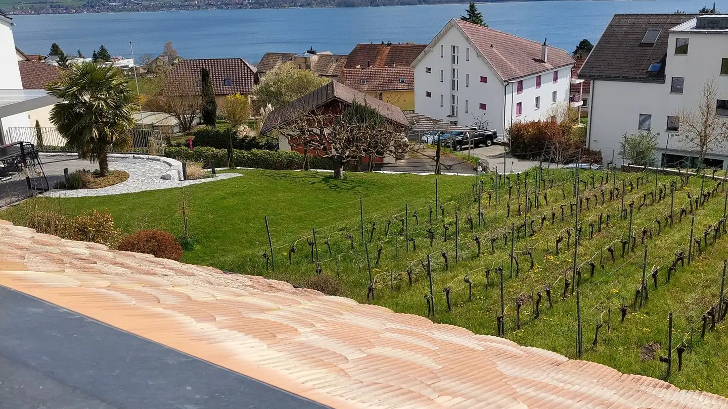 Einfamilienhaus mieten - Chemin Des Jordils 35, 1789 Lugnorre - Foto 2