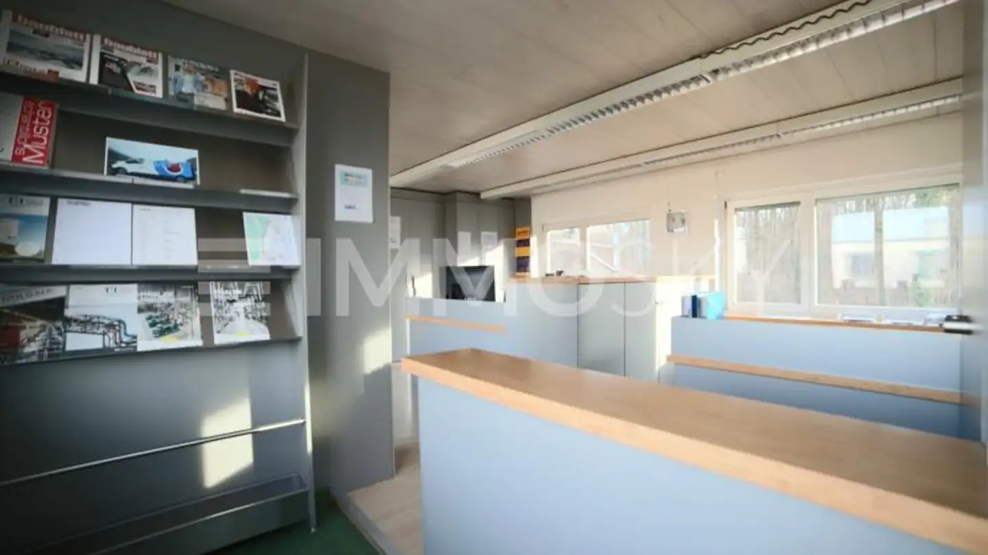 Commercial for sale - 4127 Birsfelden