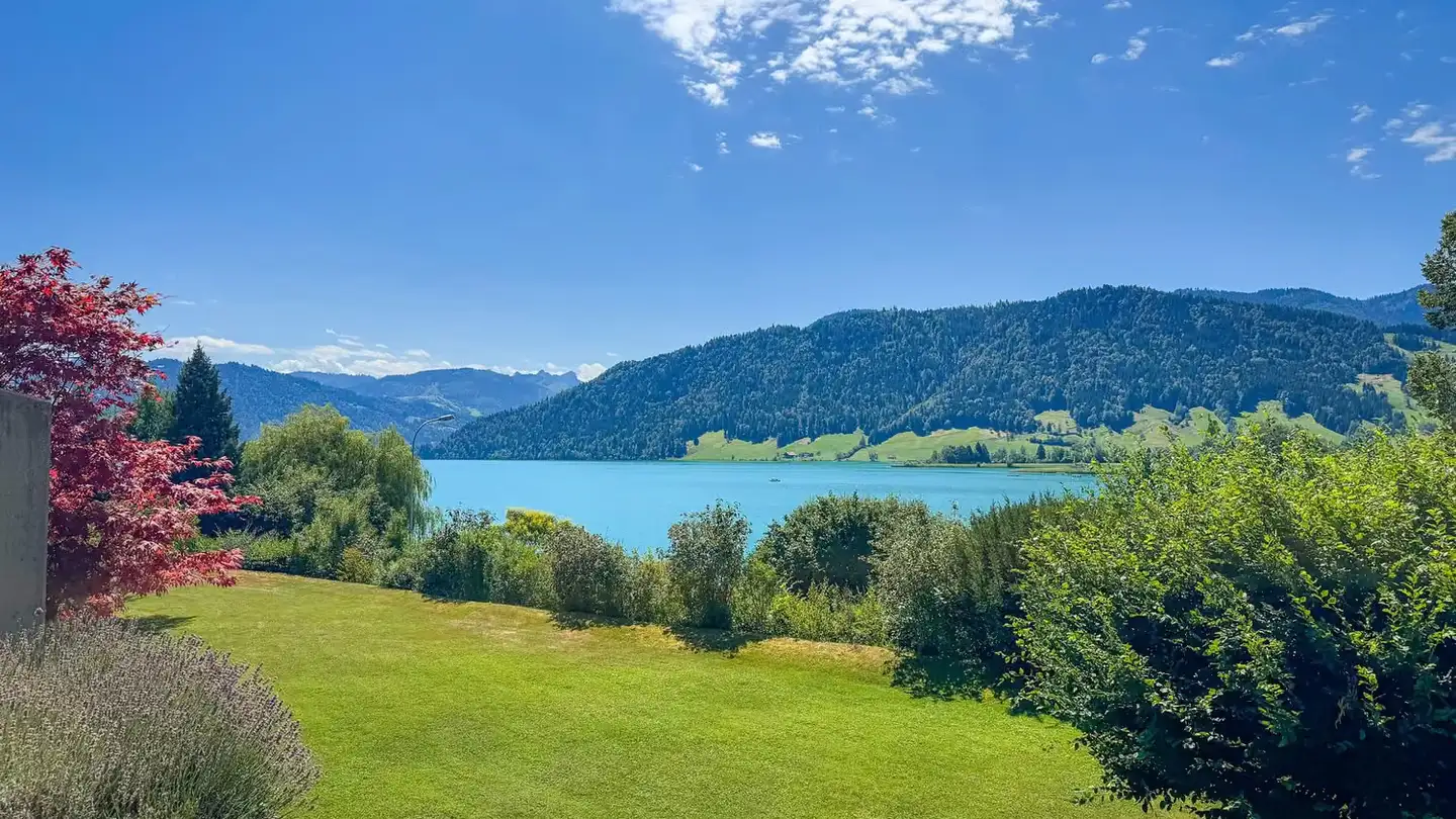 Appartement à vendre - Alte Landstrasse 19, 6314 Unterägeri