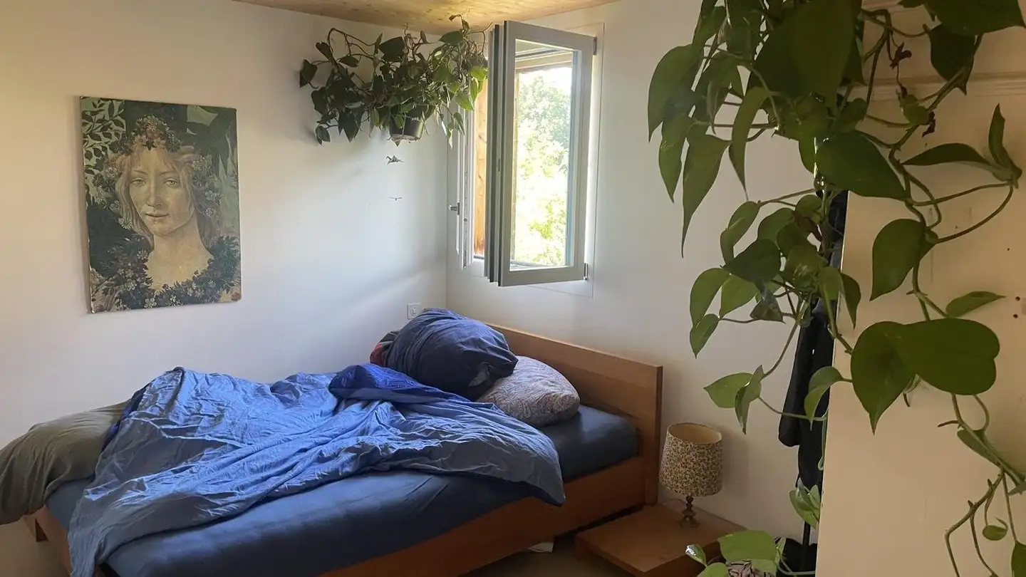 Wohnung mieten - 9000 St. Gallen - Foto 3