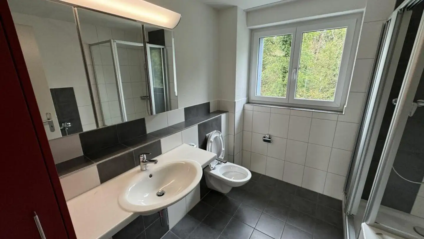 Appartamento in affitto - Neu Letten, 8192 Zweidlen - Photo 4