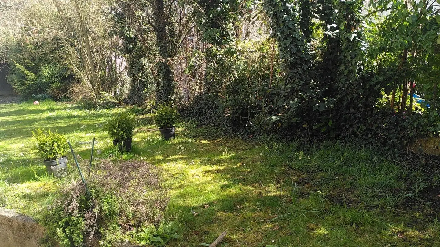 Appartement à louer - Rue De La Paix 19, 1020 Renens VD - Photo 2