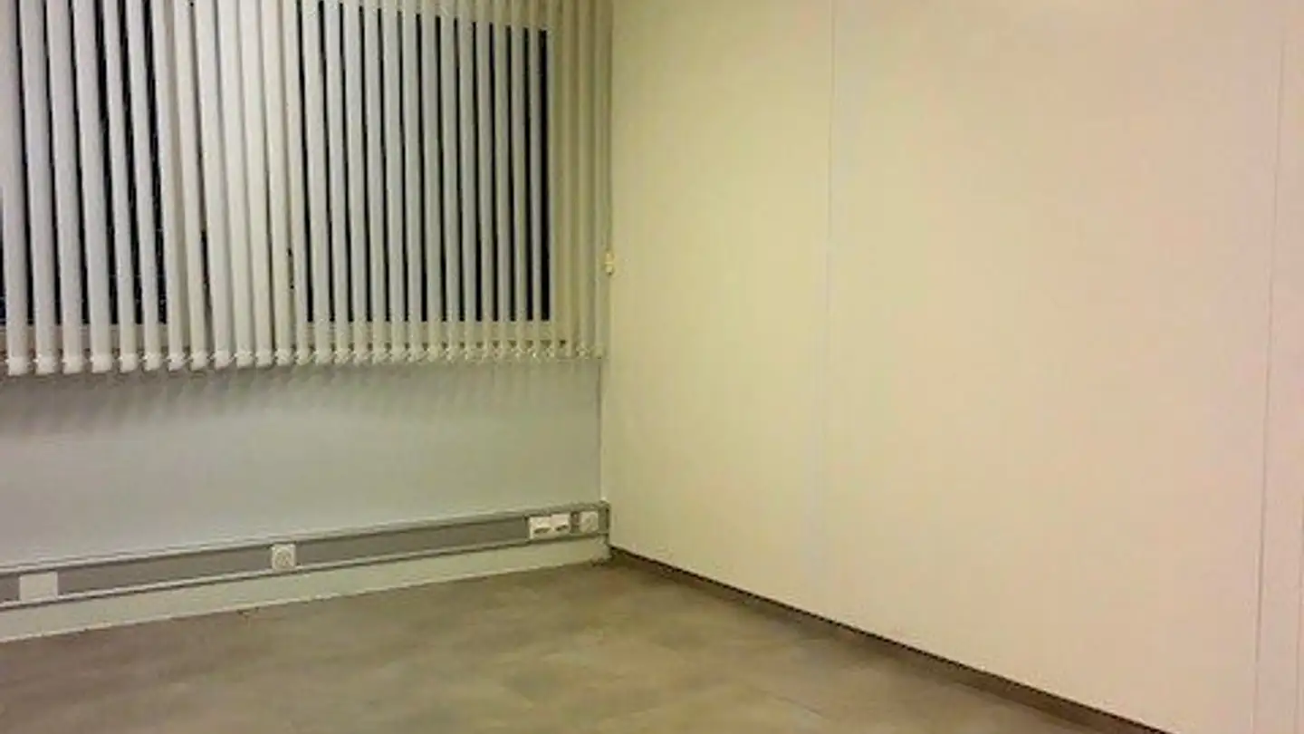 Grande magazzino in affitto - Avenue De Belmont 19, 1820 Montreux - Foto 3