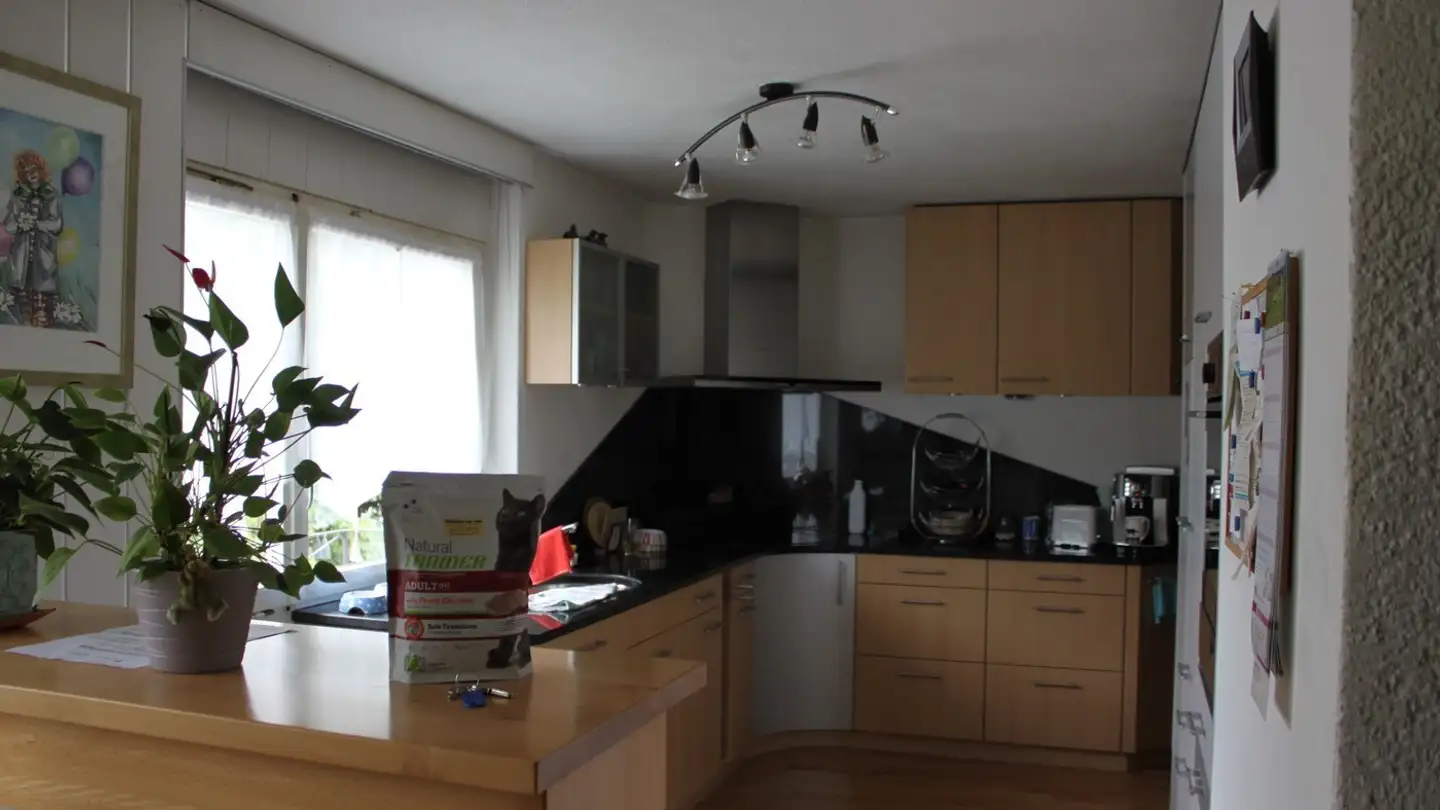 Single house for sale - Stiege 40, 6463 Bürglen UR - Photo 3