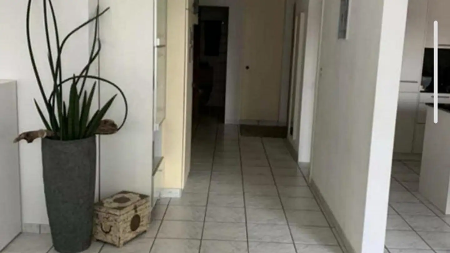Wohnung mieten - Hirschenstrasse 4, 9536 Schwarzenbach SG - Foto 3