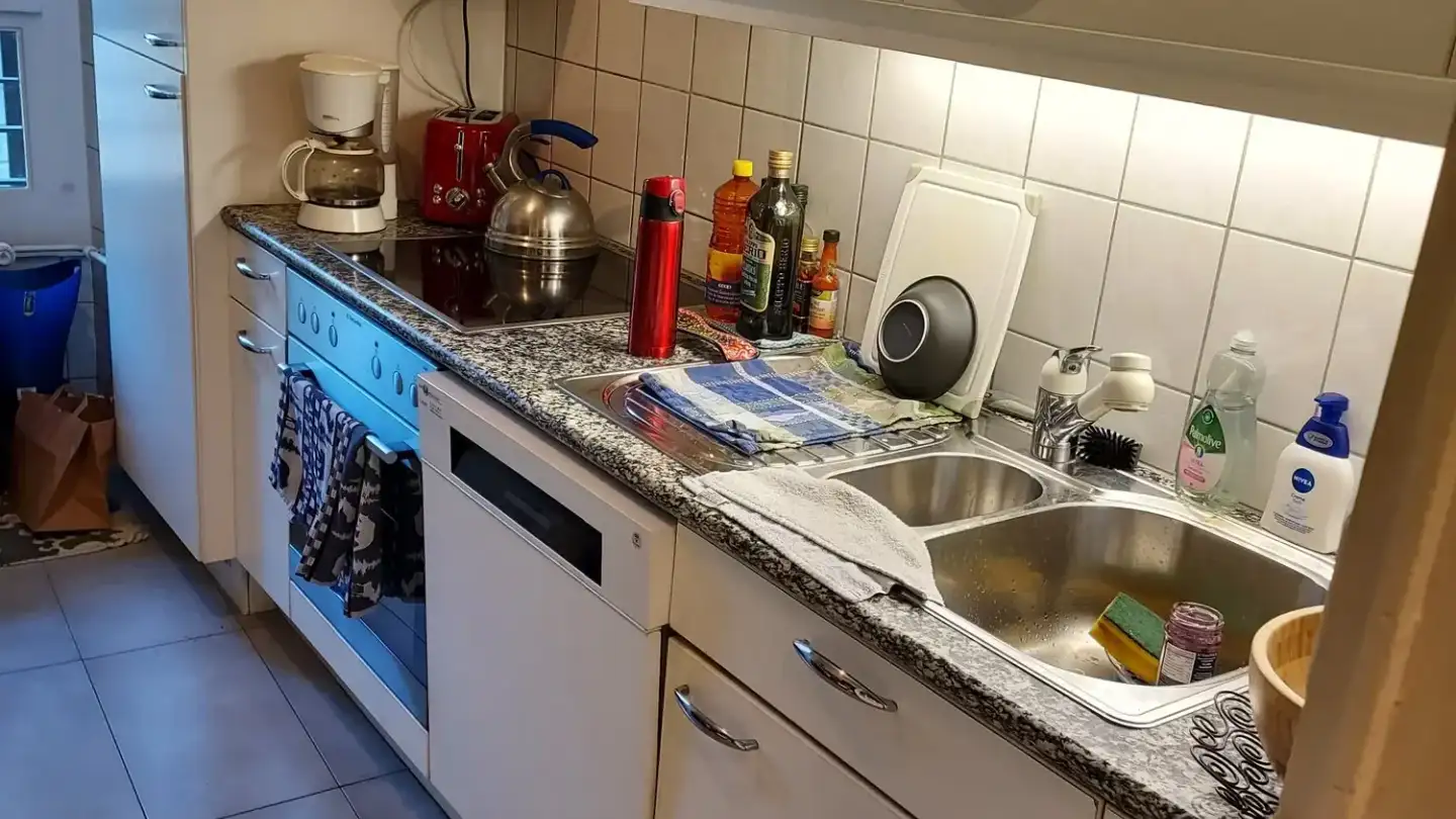 Appartamento in affitto - Rue Des Eaux-Vives 2, 1207 Genève - Foto 3