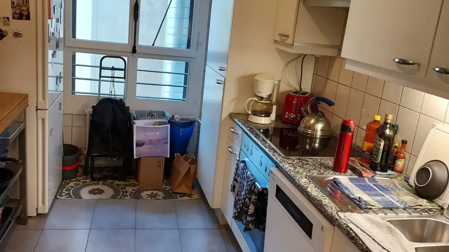 Appartamento in affitto - Rue Des Eaux-Vives 2, 1207 Genève - Foto 2