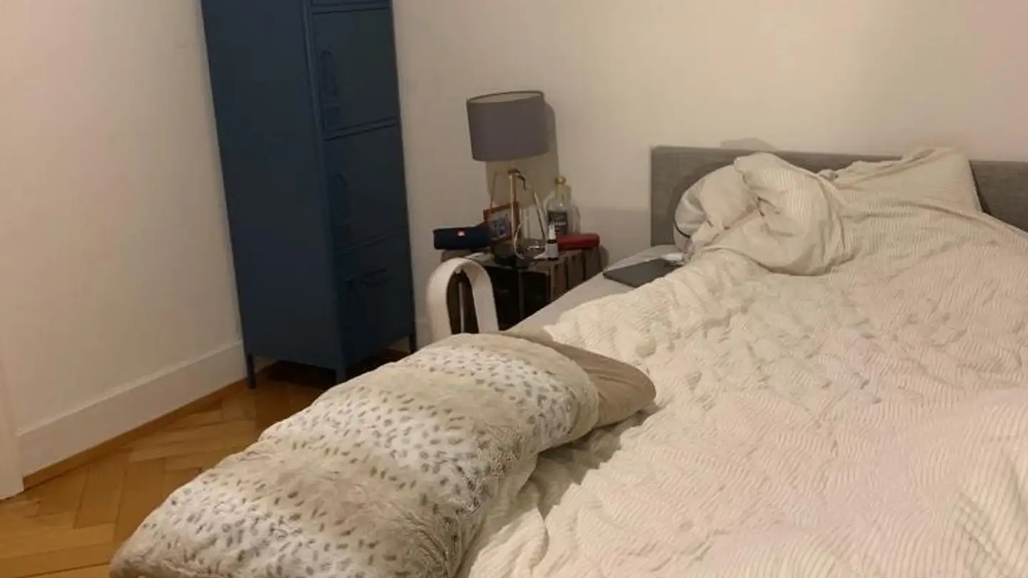 Chambre à louer - 8006 Zürich - Photo 3