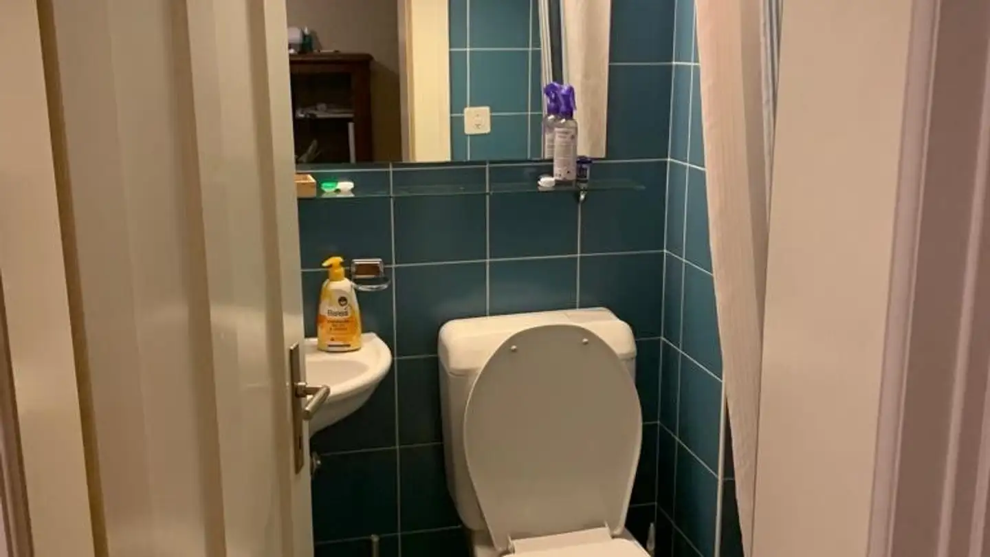 Chambre à louer - 8006 Zürich - Photo 4