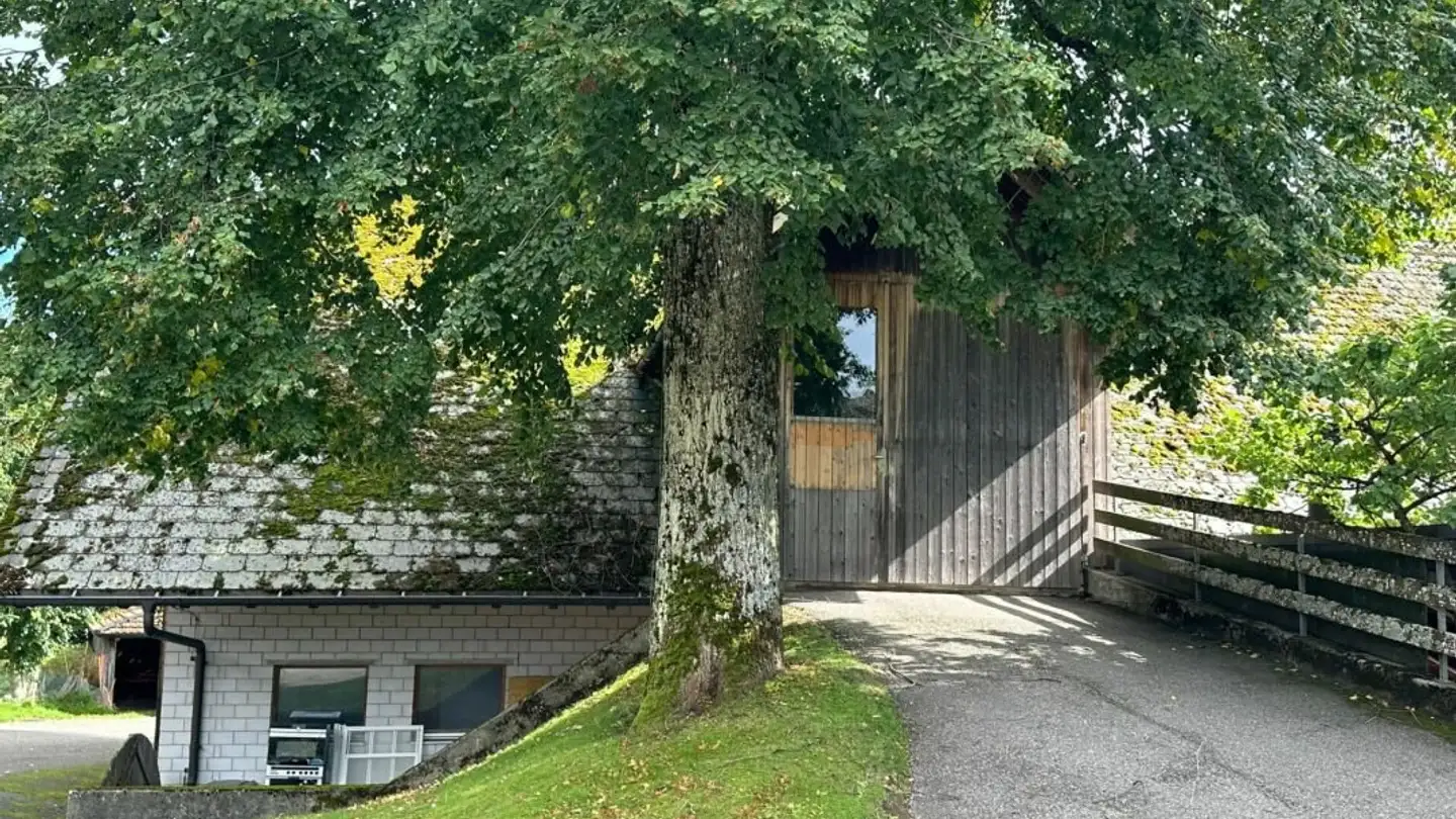 Residential building for sale - Viehmarktstrasse 14, 3506 Grosshöchstetten - Photo 4