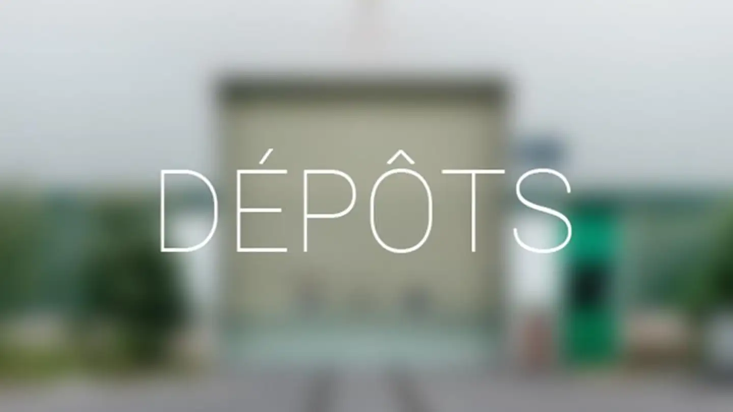 Immeuble mixte à louer - Route De Sauverny 37, 1290 Versoix