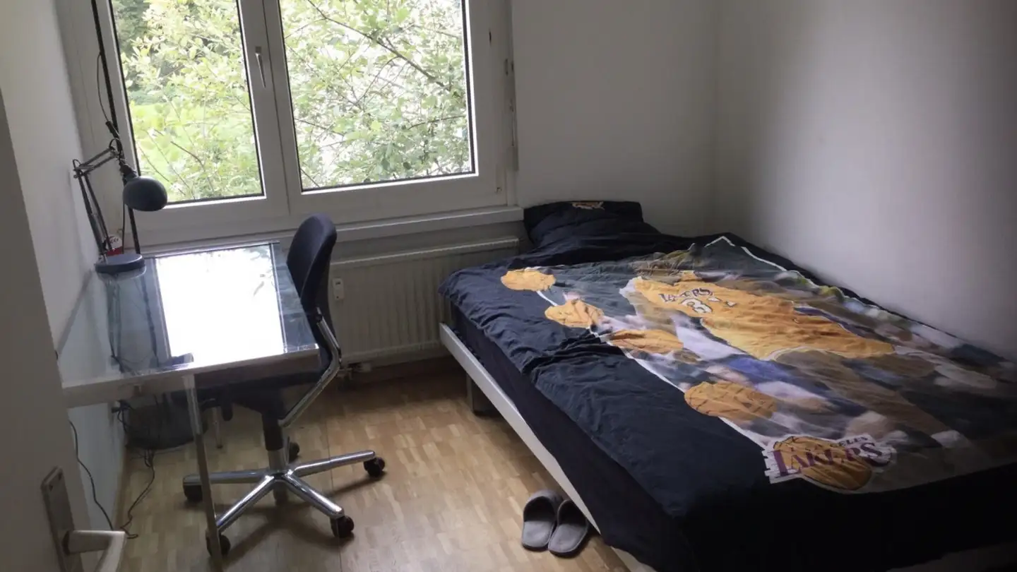 Single room for rent - 8706 Meilen