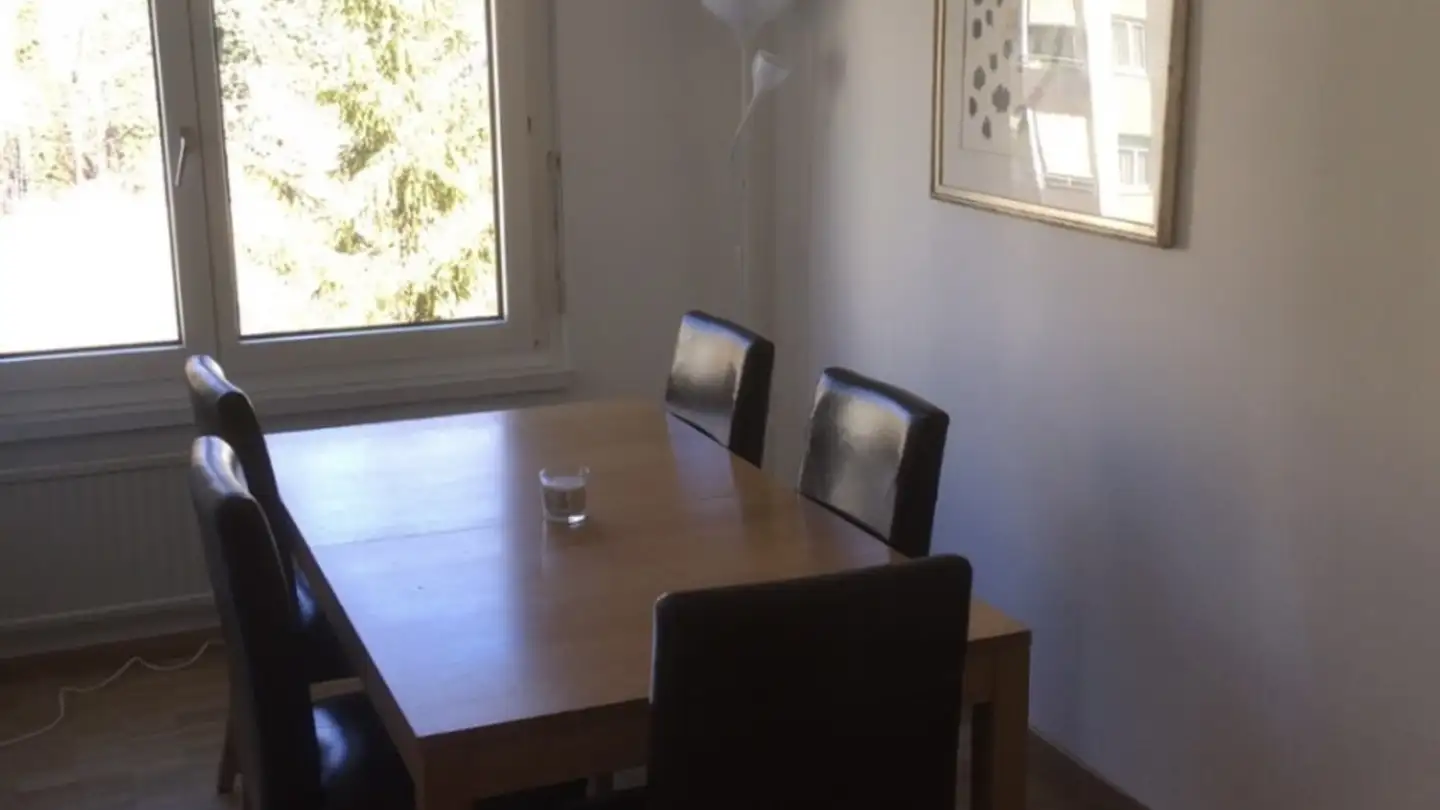 Single room for rent - 8706 Meilen - Photo 2