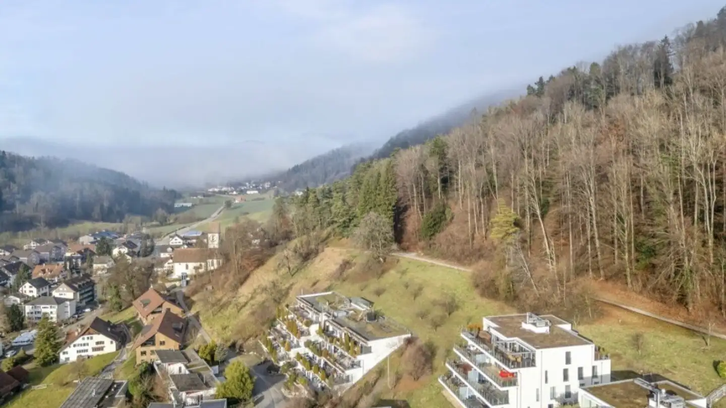 Apartment for sale - 8143 Stallikon - Photo 3