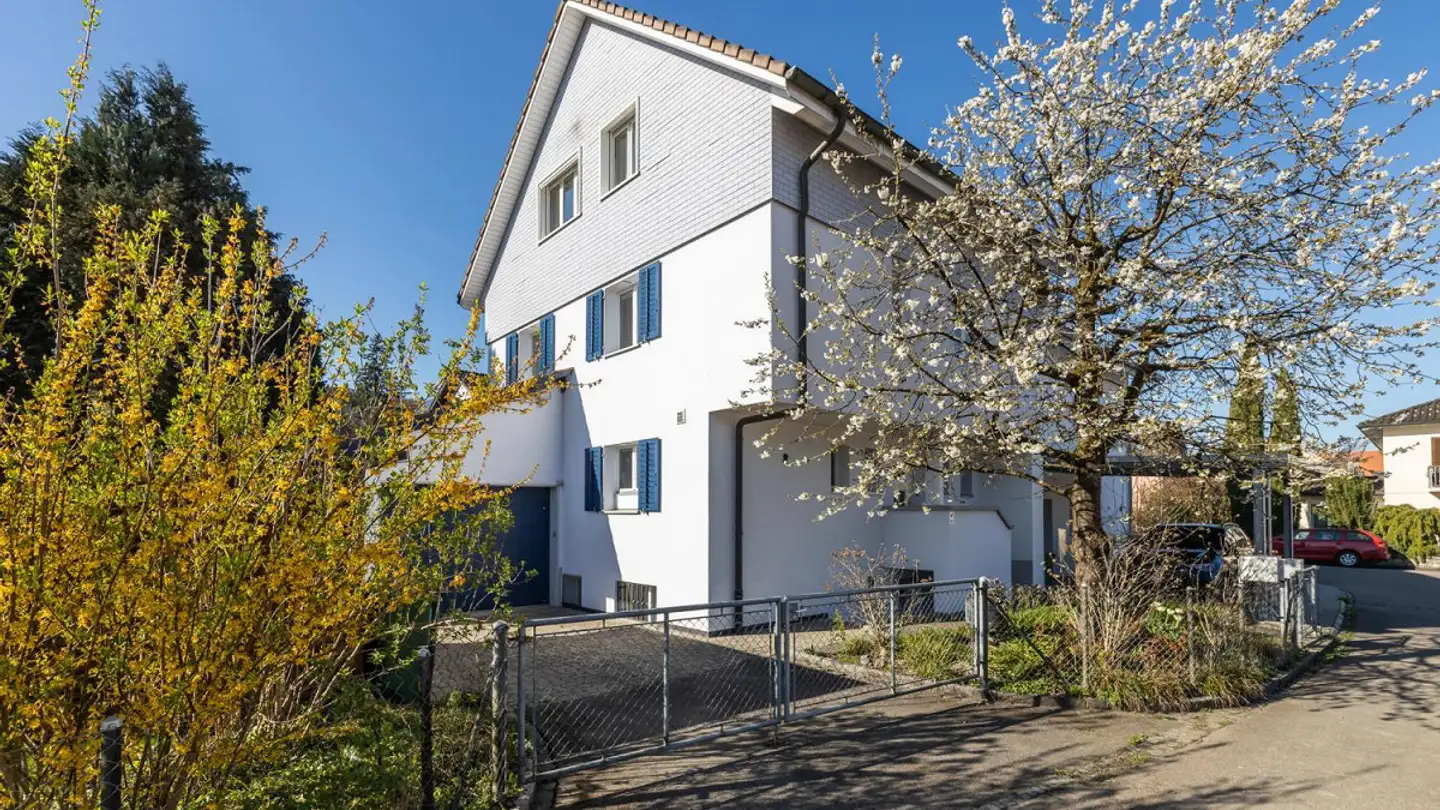Semi-detached house for sale - Obere Bachstrasse 8, 8952 Schlieren