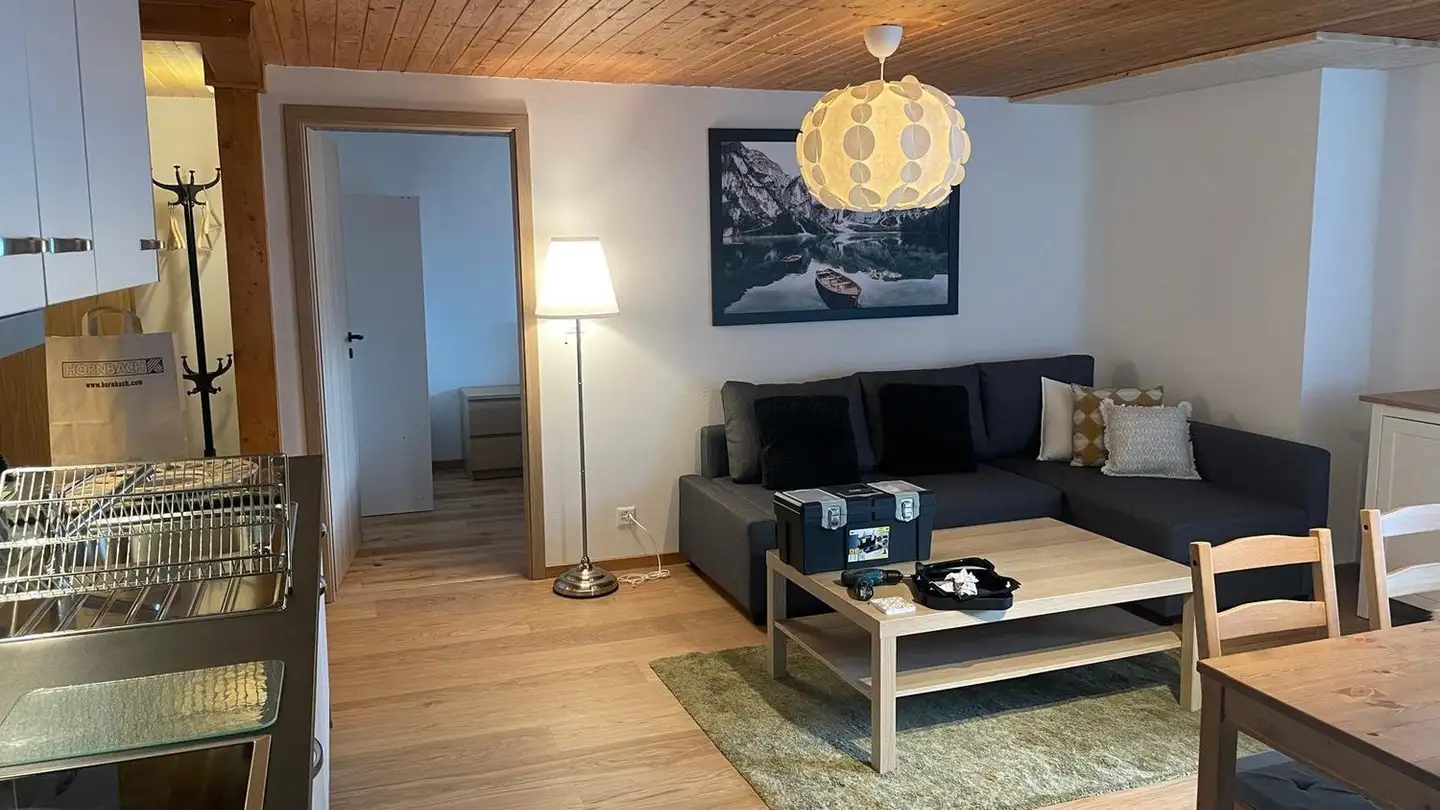 Appartamento in affitto - Route Du Pillon, 1865 Les Diablerets - Foto 2