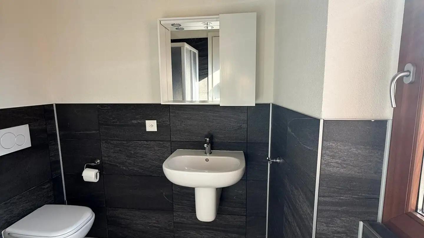 Apartment for rent - 6855 Stabio - Photo 4