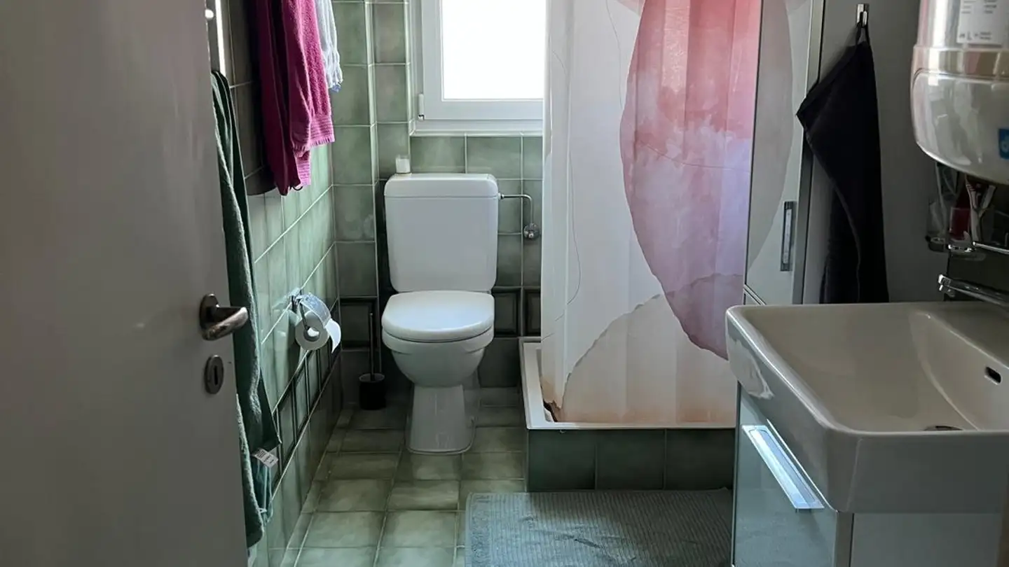 Chambre à louer - Altstetterstrasse 235, 8048 Zürich - Photo 4