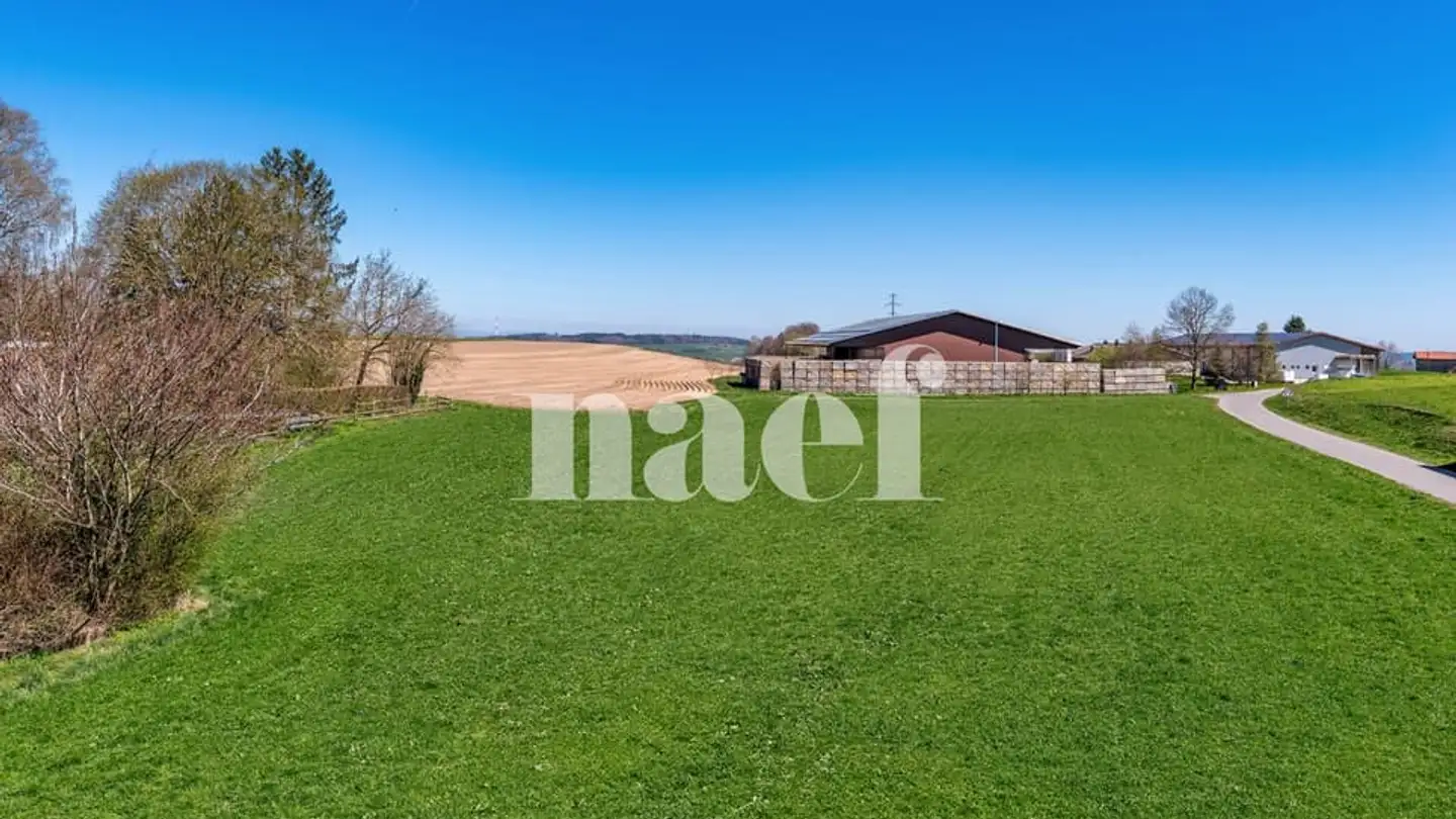 Apartment for sale - 1059 Peney-le-Jorat - Photo 2