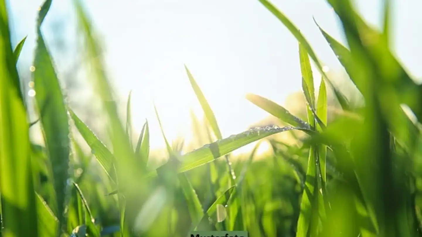 Constructible plot for sale - 1627 Vaulruz