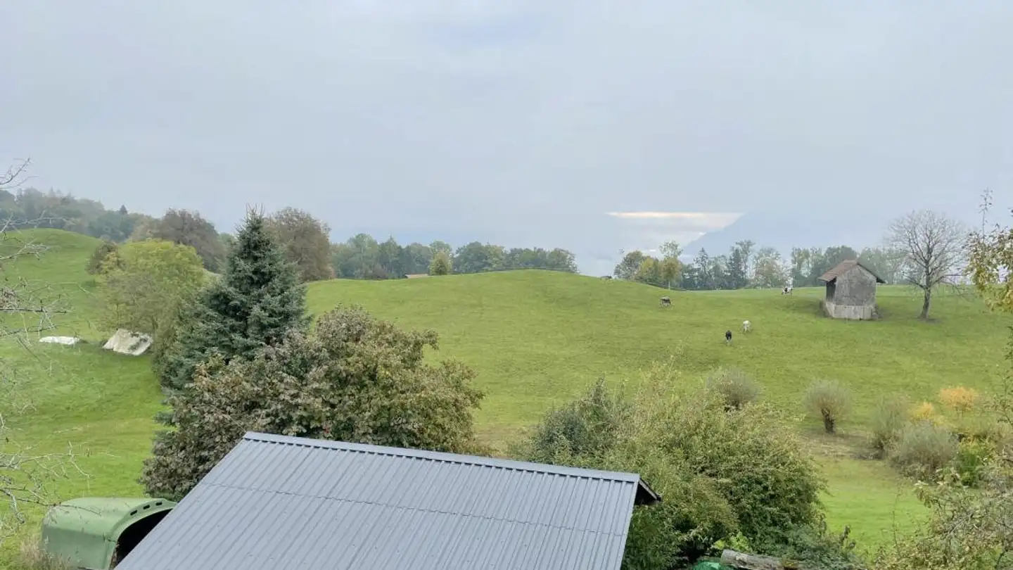 Casa singola in vendita - Güntisbergstrasse 49, 8636 Wald ZH - Photo 4