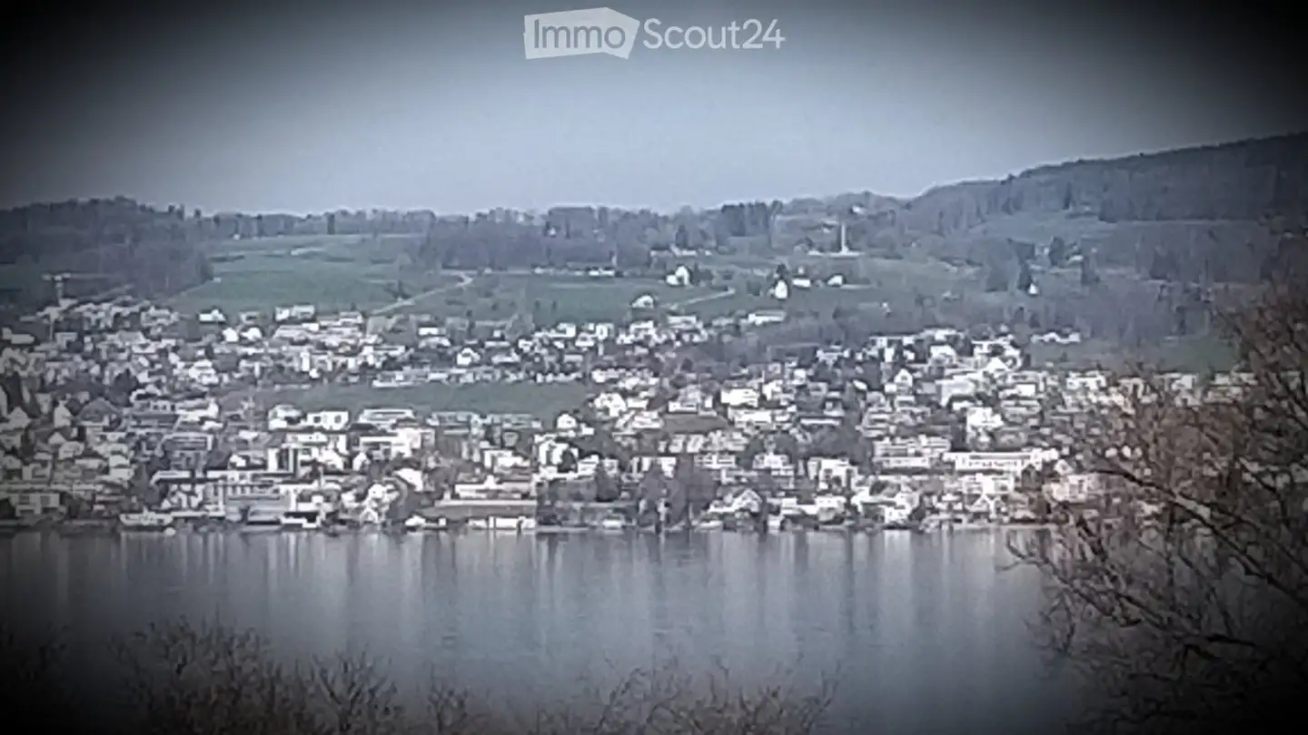 Appartement à louer - Rosenweg 9, 8810 Horgen