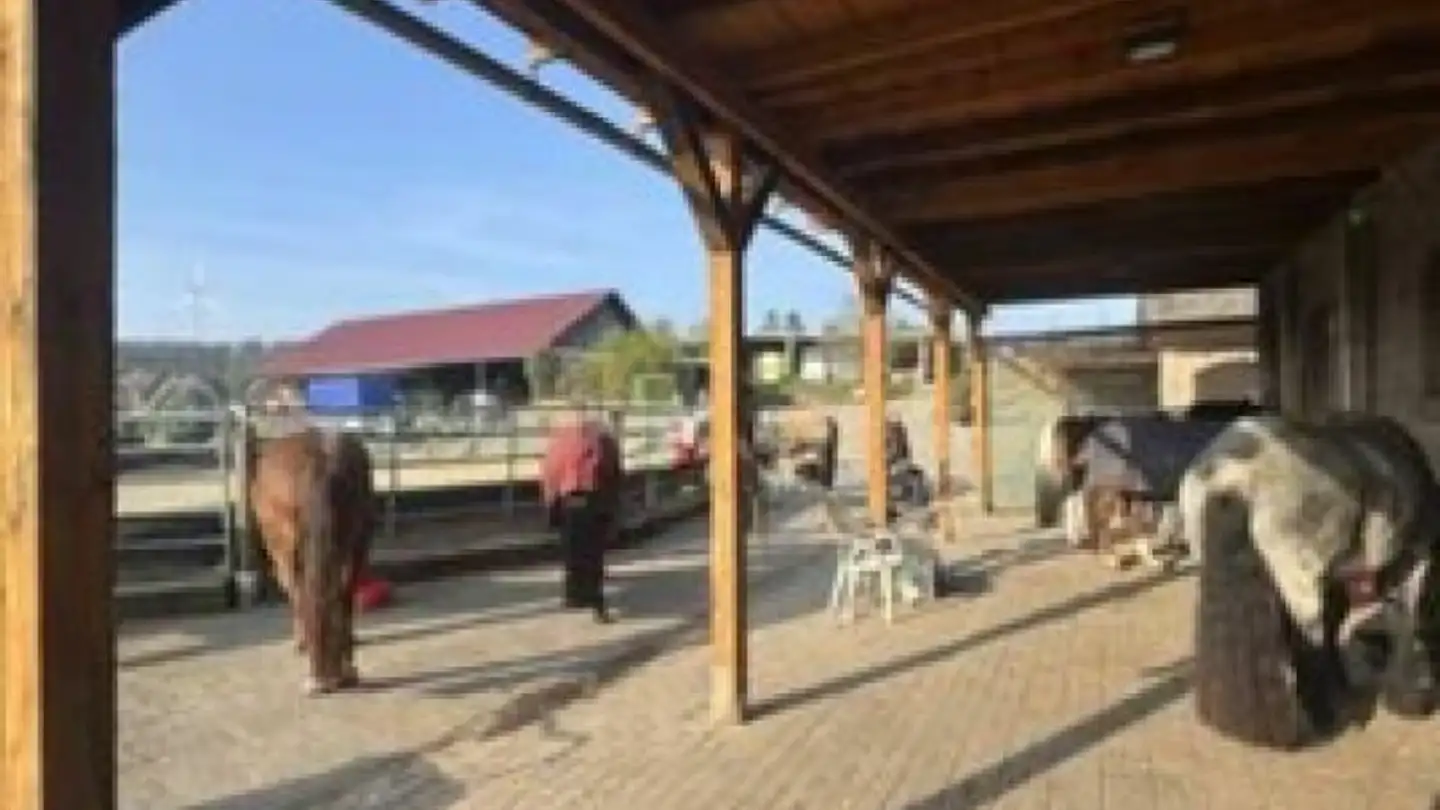Riding hall for sale - 6003 Luzern - Photo 3