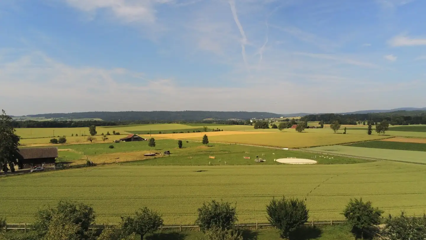 Casa singola in vendita - Rheinstrasse 11, 8239 Dörflingen - Photo 3