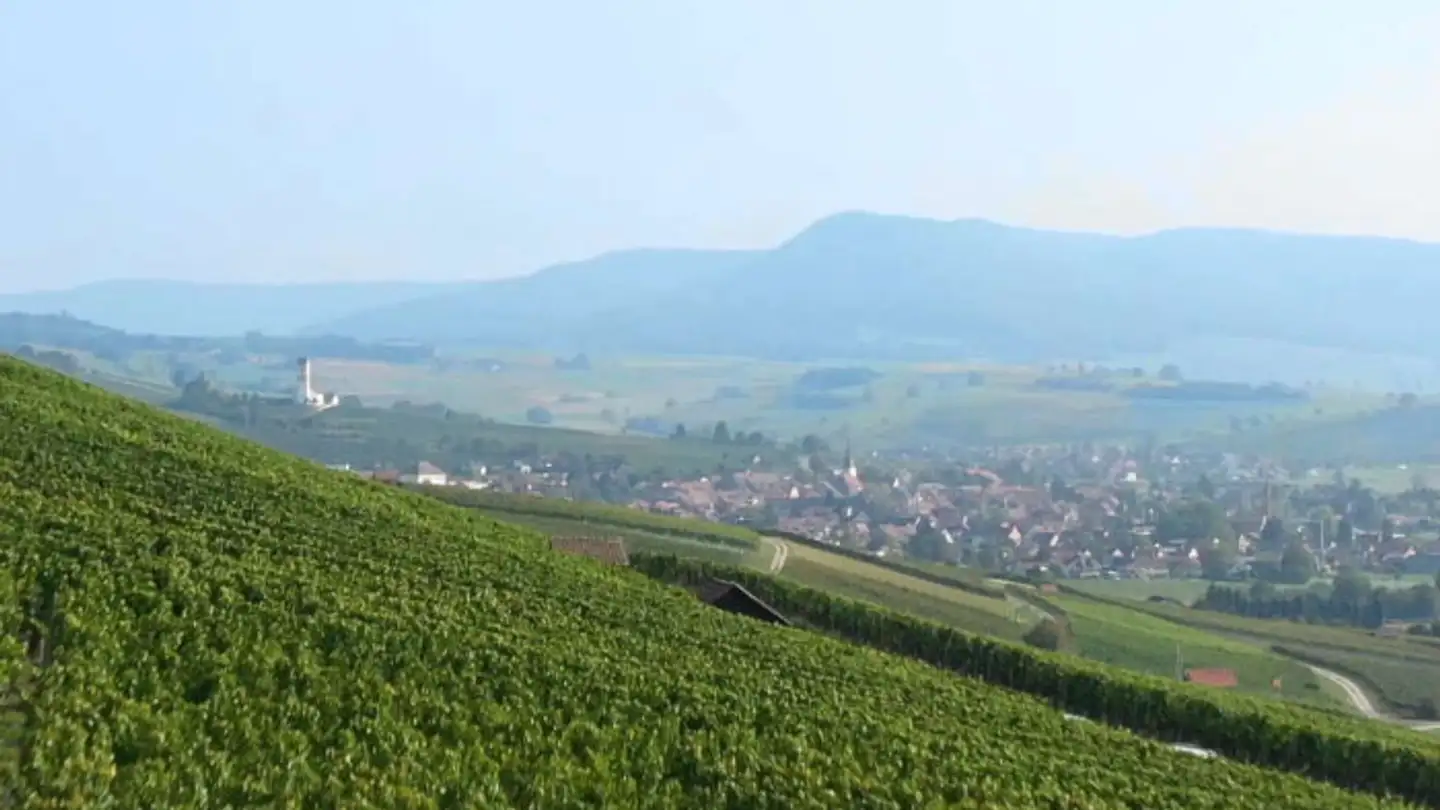 Appartamento in vendita - Oberdorf 42, 8222 Beringen - Photo 2