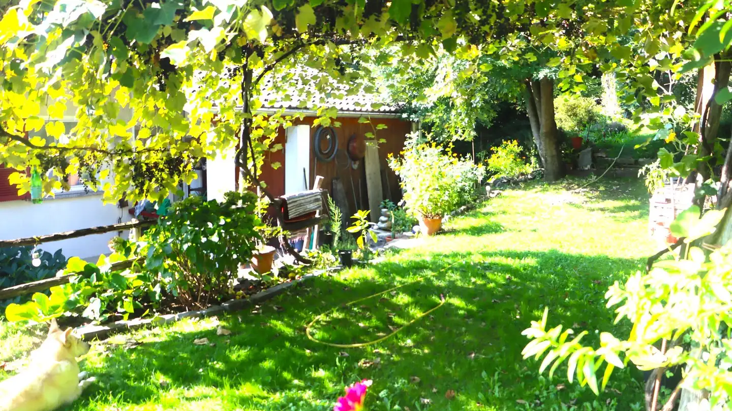 Einfamilienhaus kaufen - 6647 Mergoscia