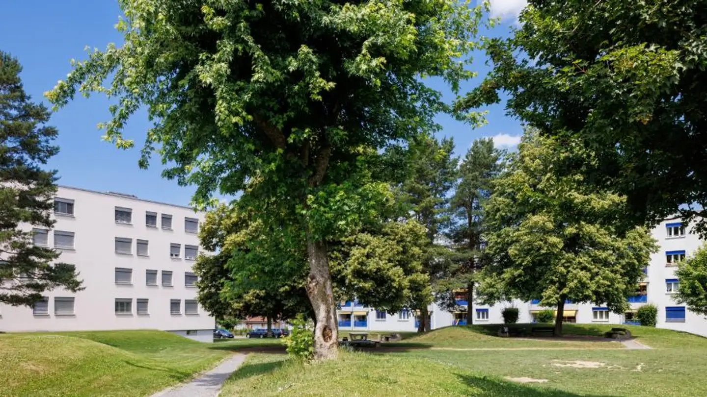 Appartement à louer - Chemin de la Chaussiaz, 1040 Echallens - Photo 4