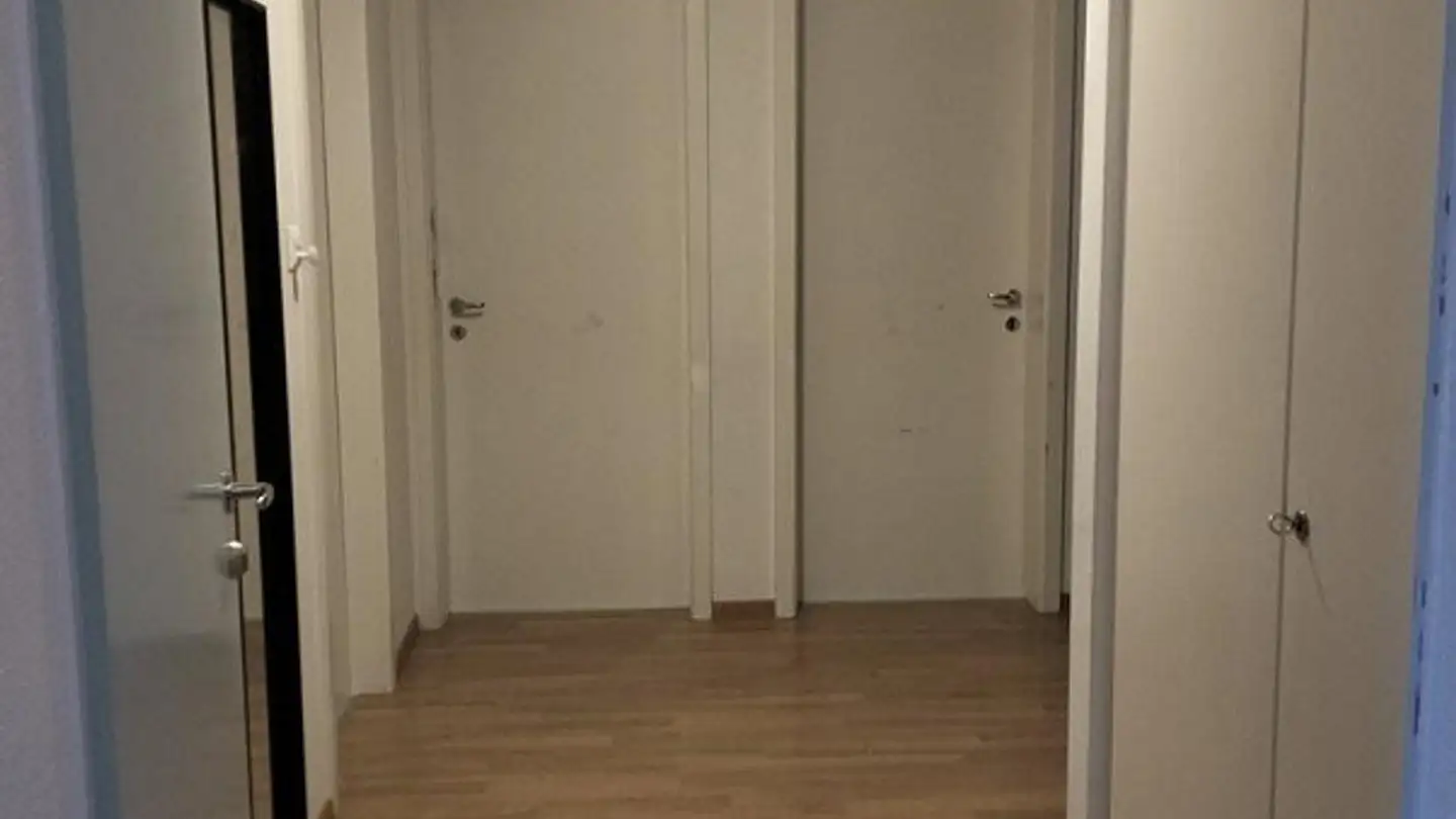 Appartement à louer - Birmensdorferstrasse 21, 8953 Dietikon