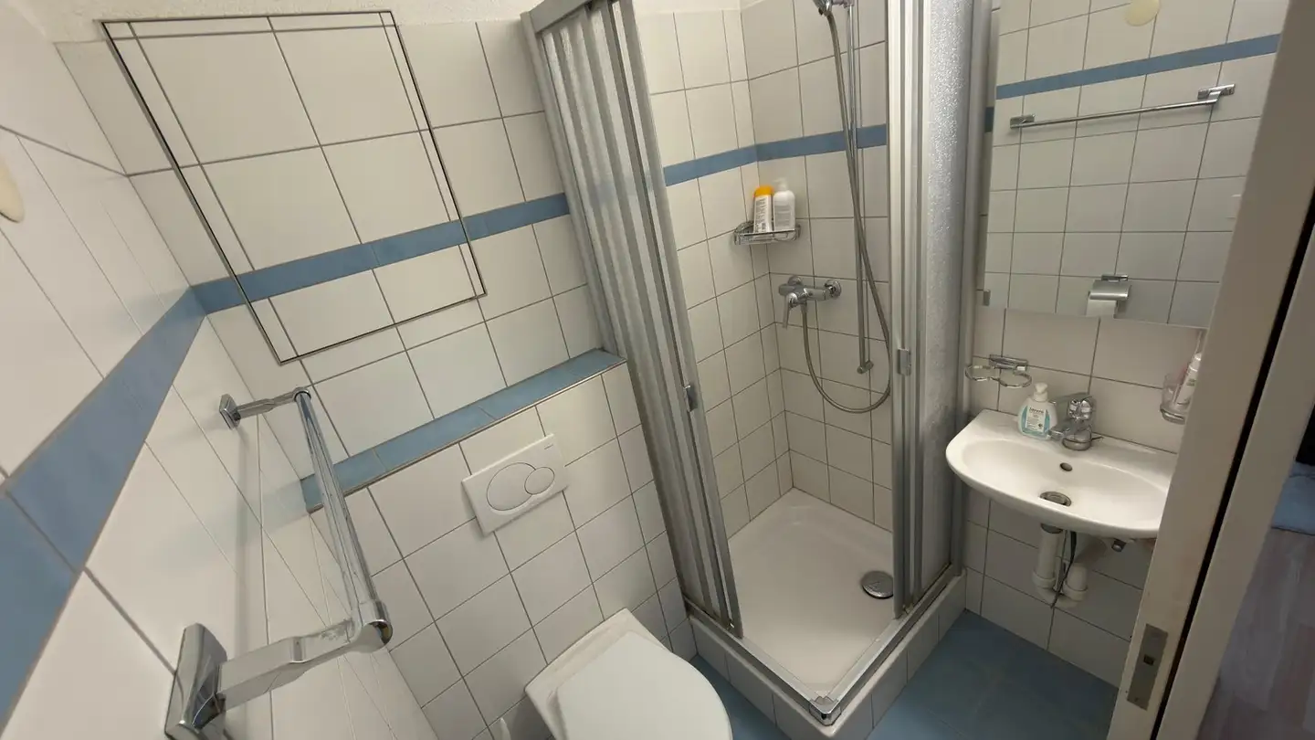 Apartment for rent - Altenburgerstrasse 25, 5200 Brugg AG - Photo 4