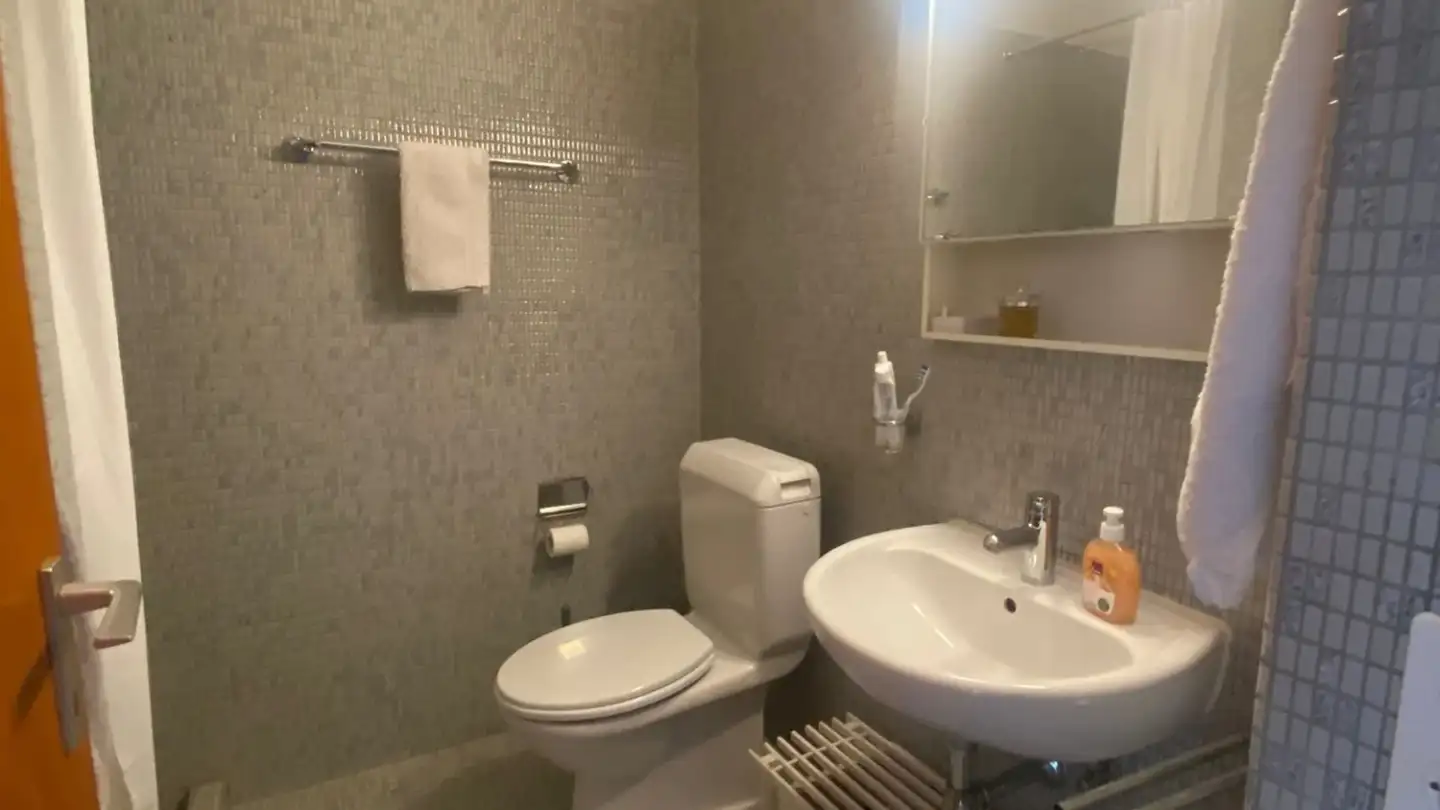 Appartamento in affitto - Via Ceresio 6, 6900 Massagno - Foto 2