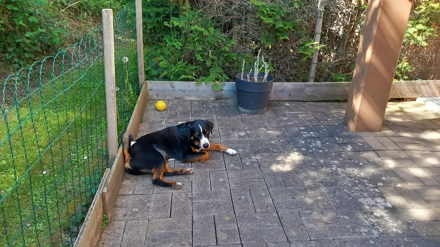 Zimmer mieten - Bodenstrasse 61, 5426 Lengnau AG - Foto 4