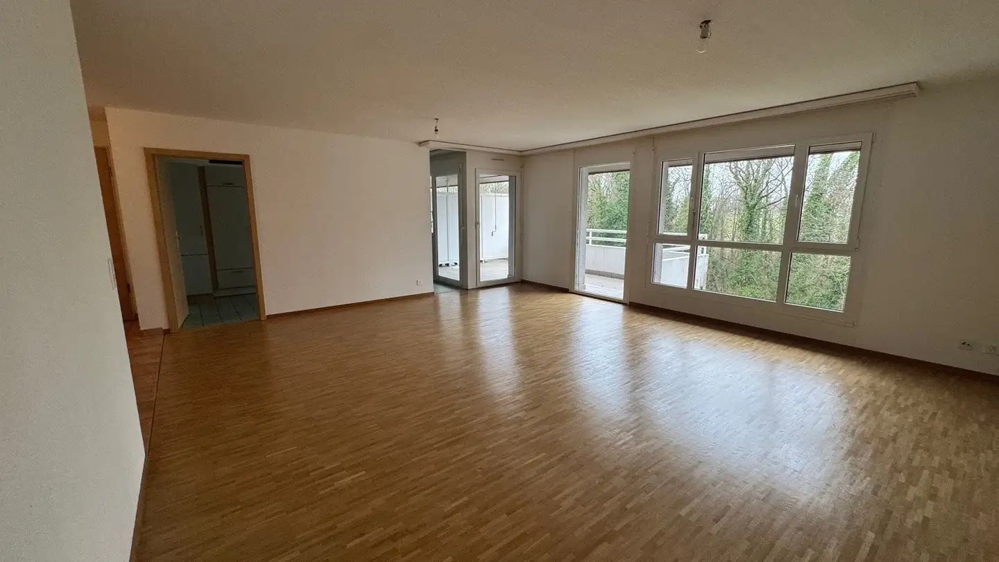 Appartamento in affitto - Route Du Boiron 27, 1260 Nyon