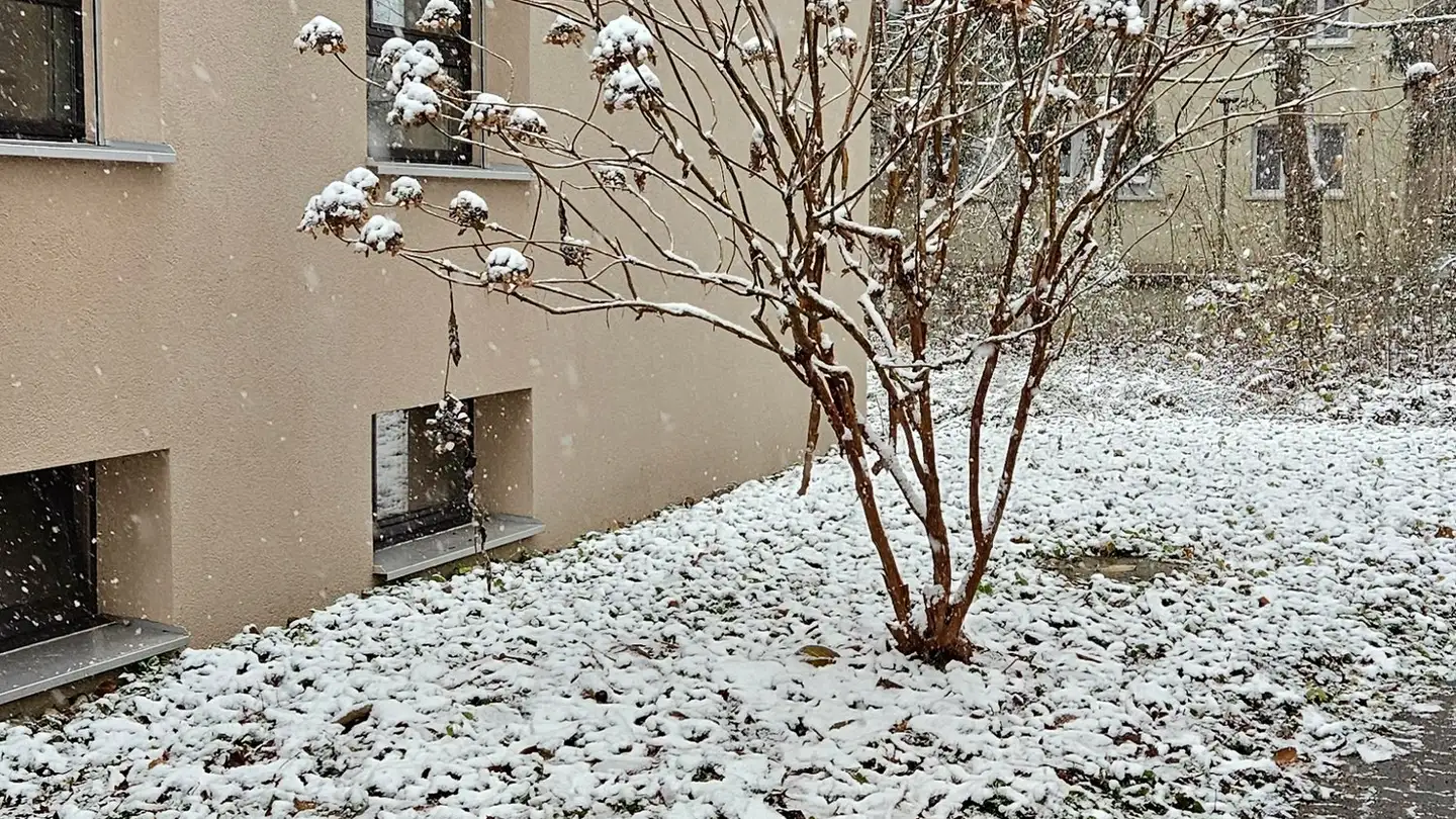 Appartamento in affitto - Feldeggstrasse, 3322 Urtenen-Schönbühl - Photo 2